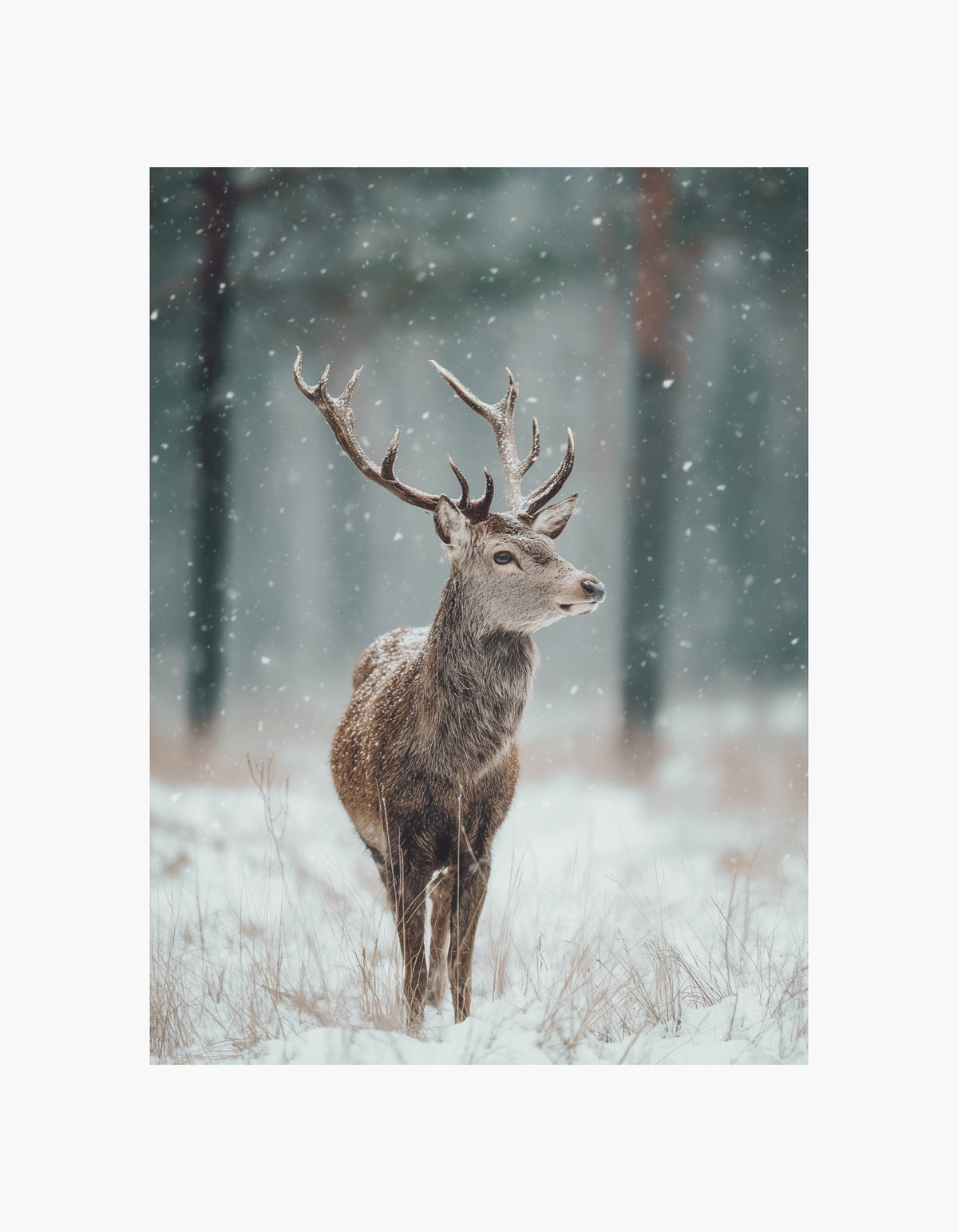 Winter Stag Poster