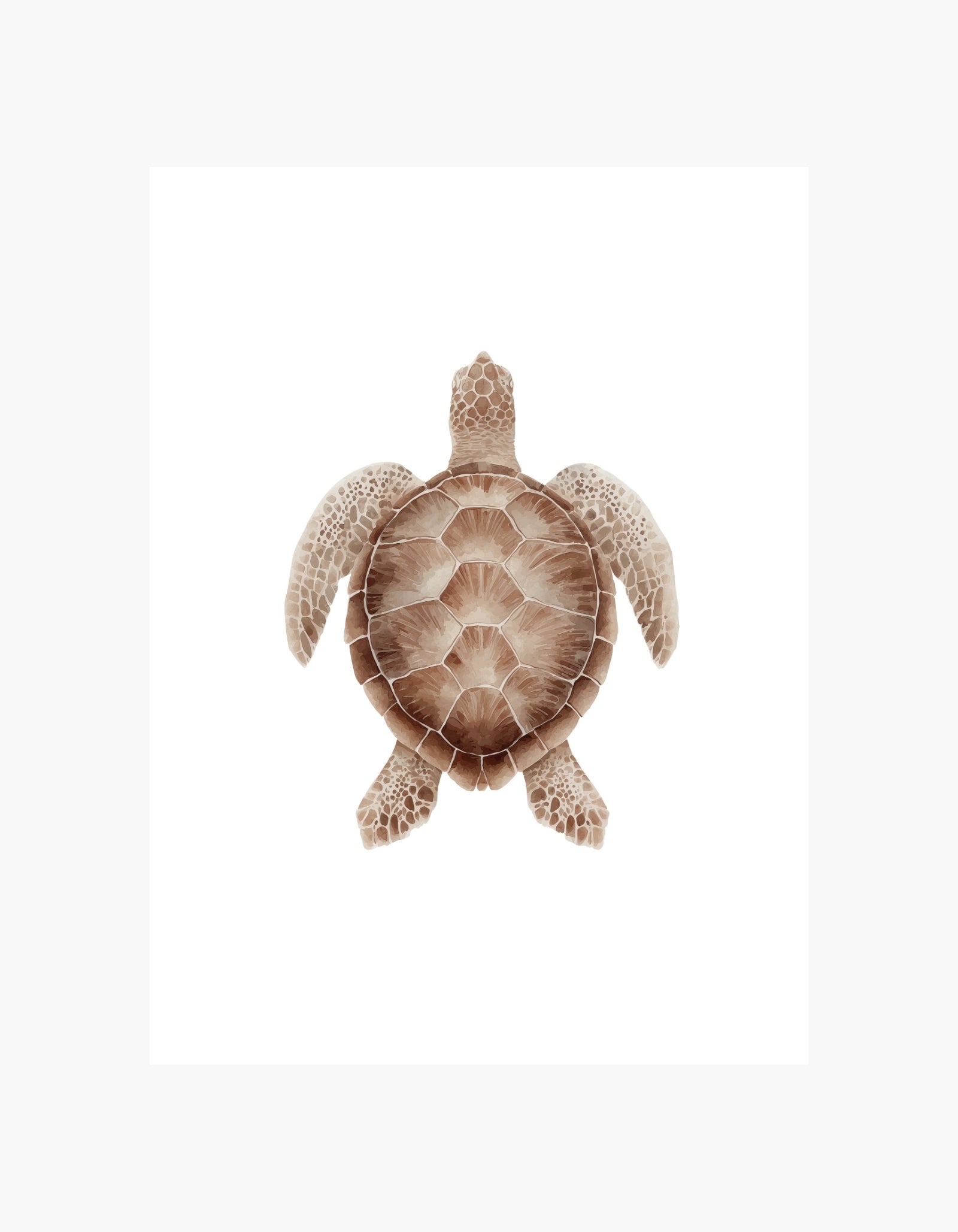 Sea Turtle Poster