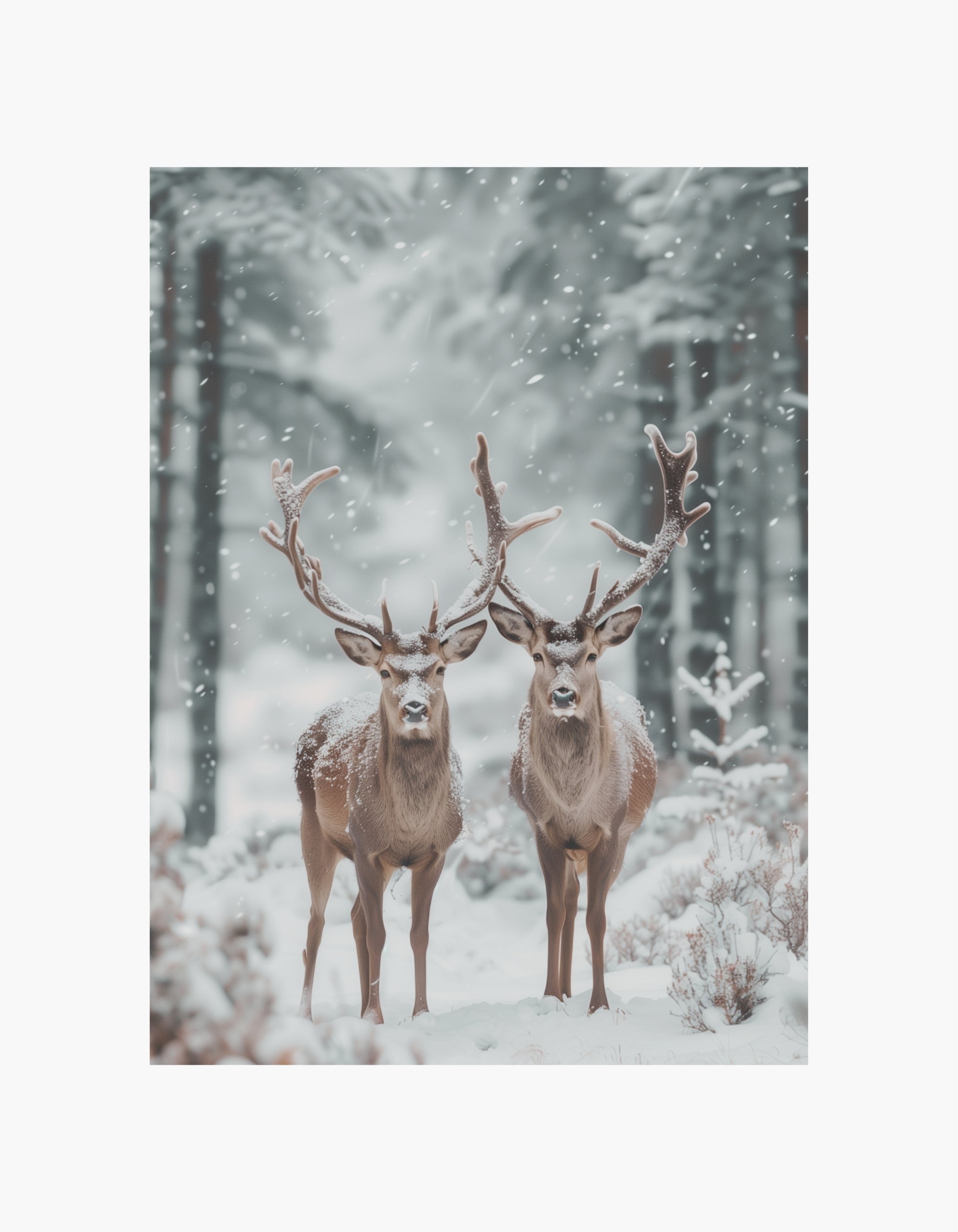 Winter Deer Poster