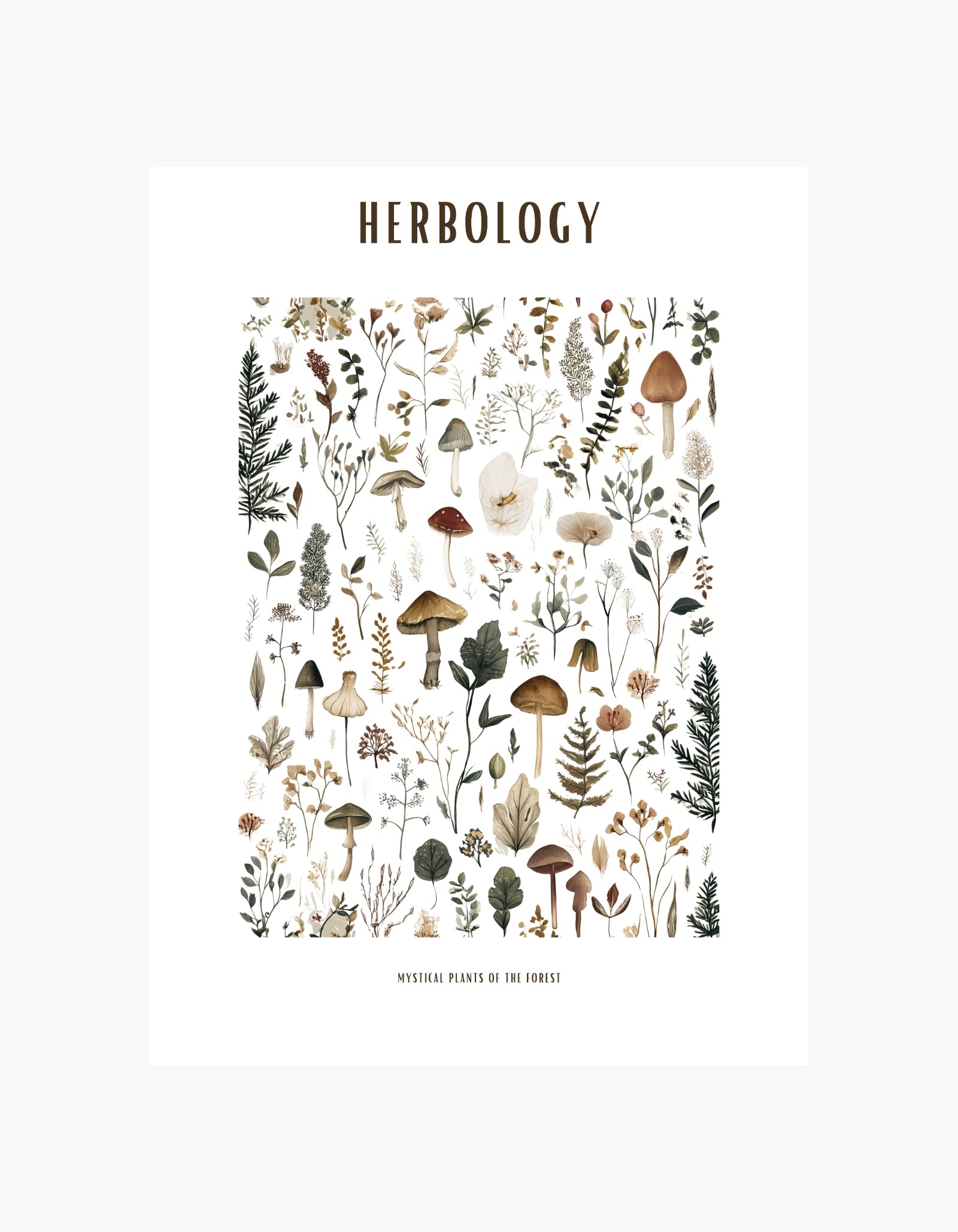 Herbology Poster