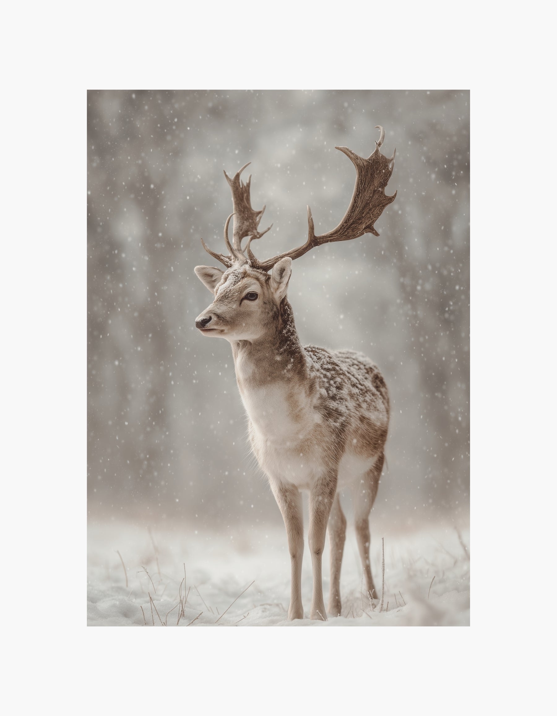 Winter Stag Poster
