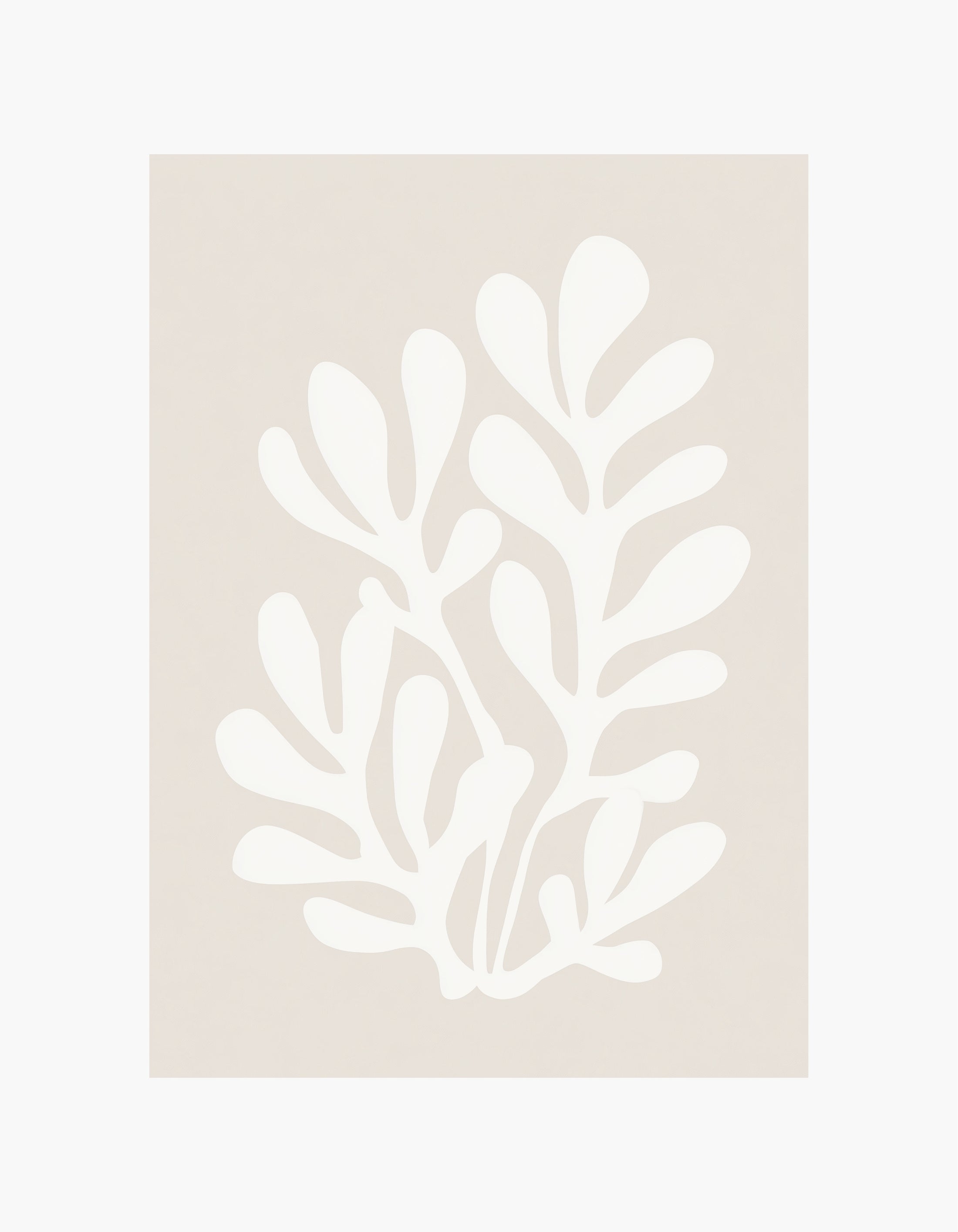 Soft Botanical Poster