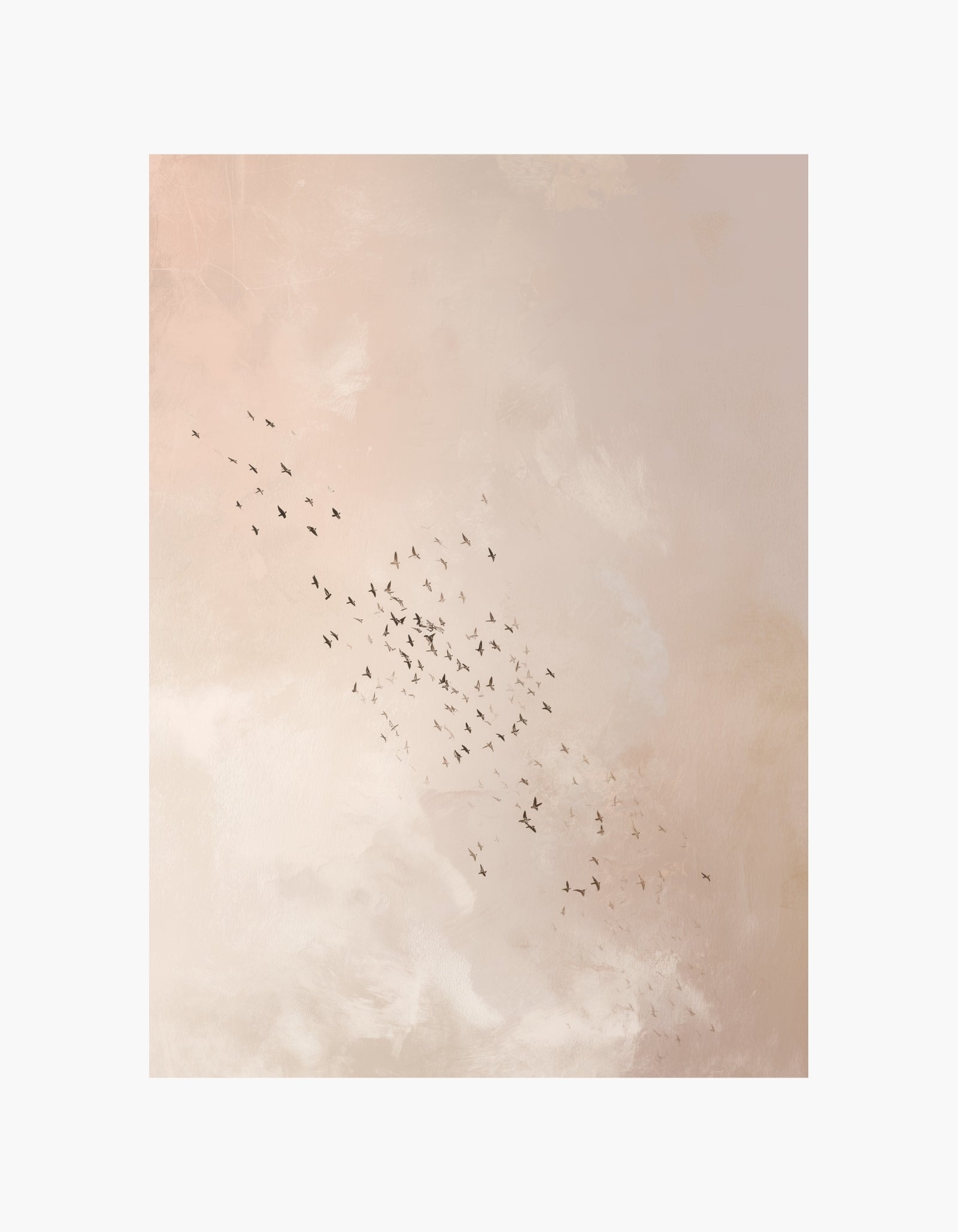 Soft Sky Birds Poster