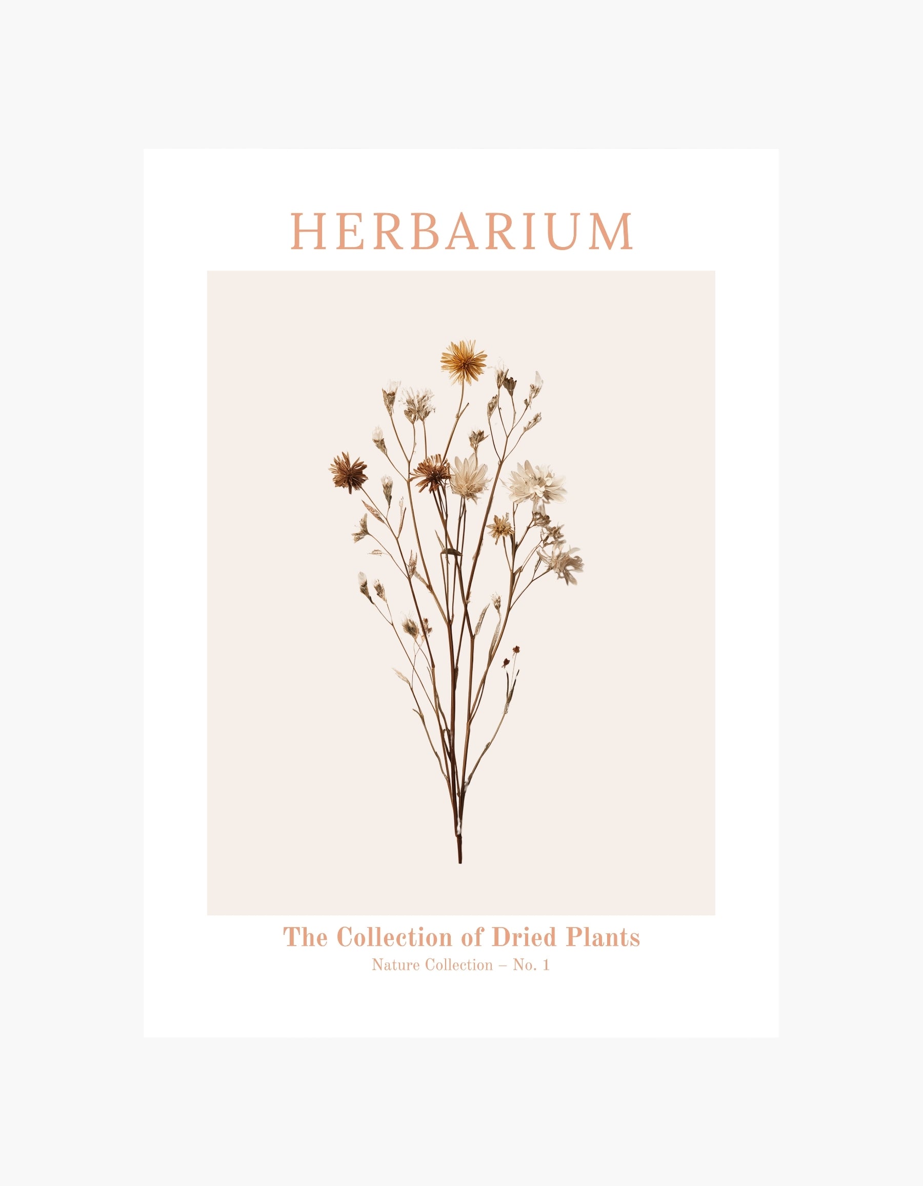 Herbarium Poster