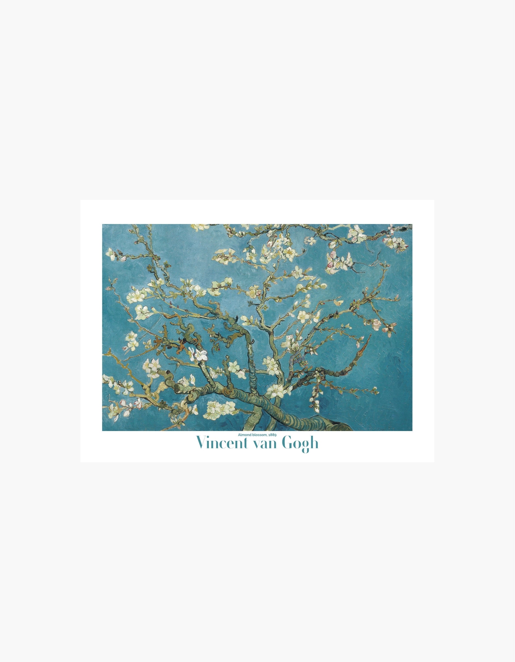 Van Gogh Almond Blossom Poster