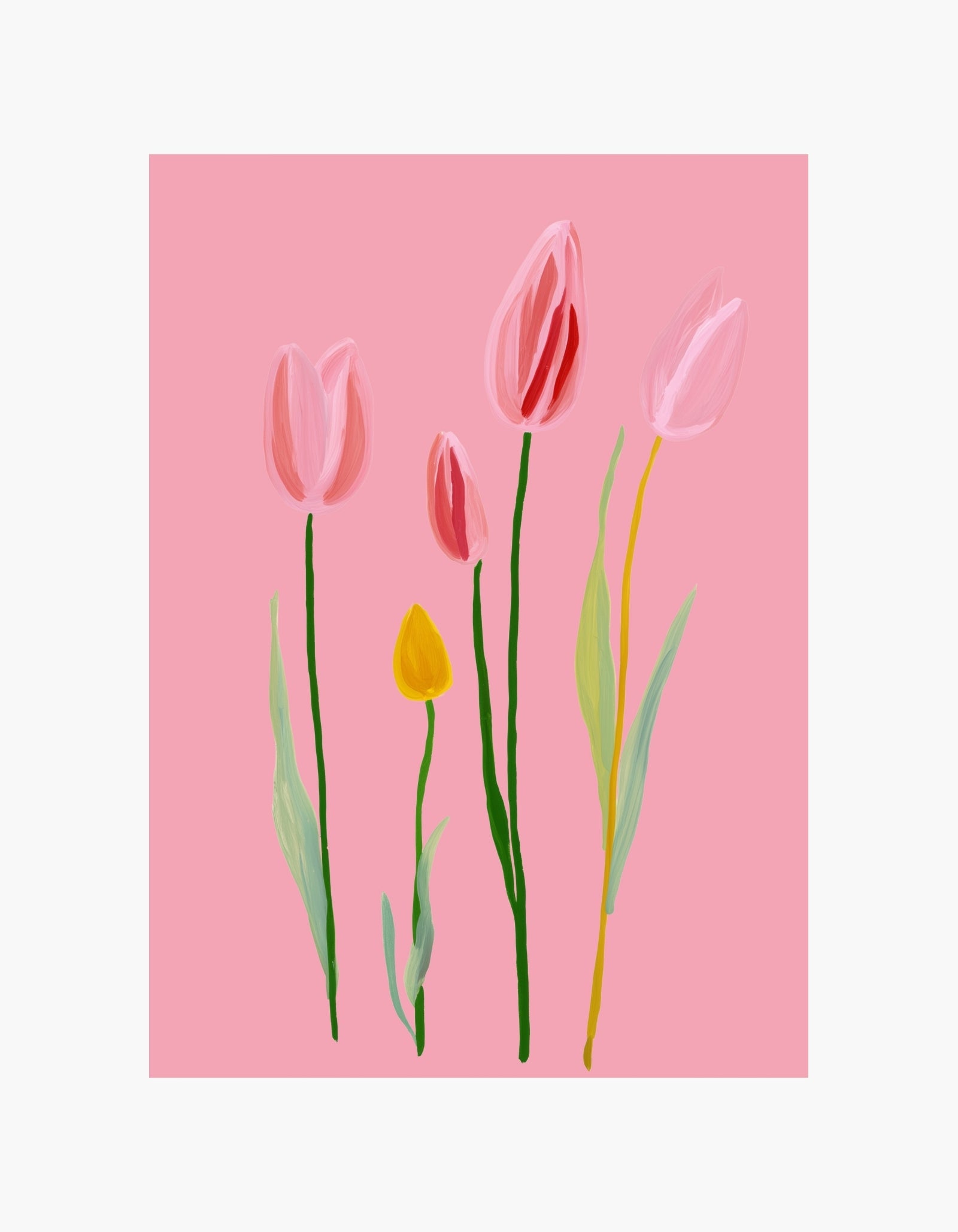 Pink Tulip Art Poster