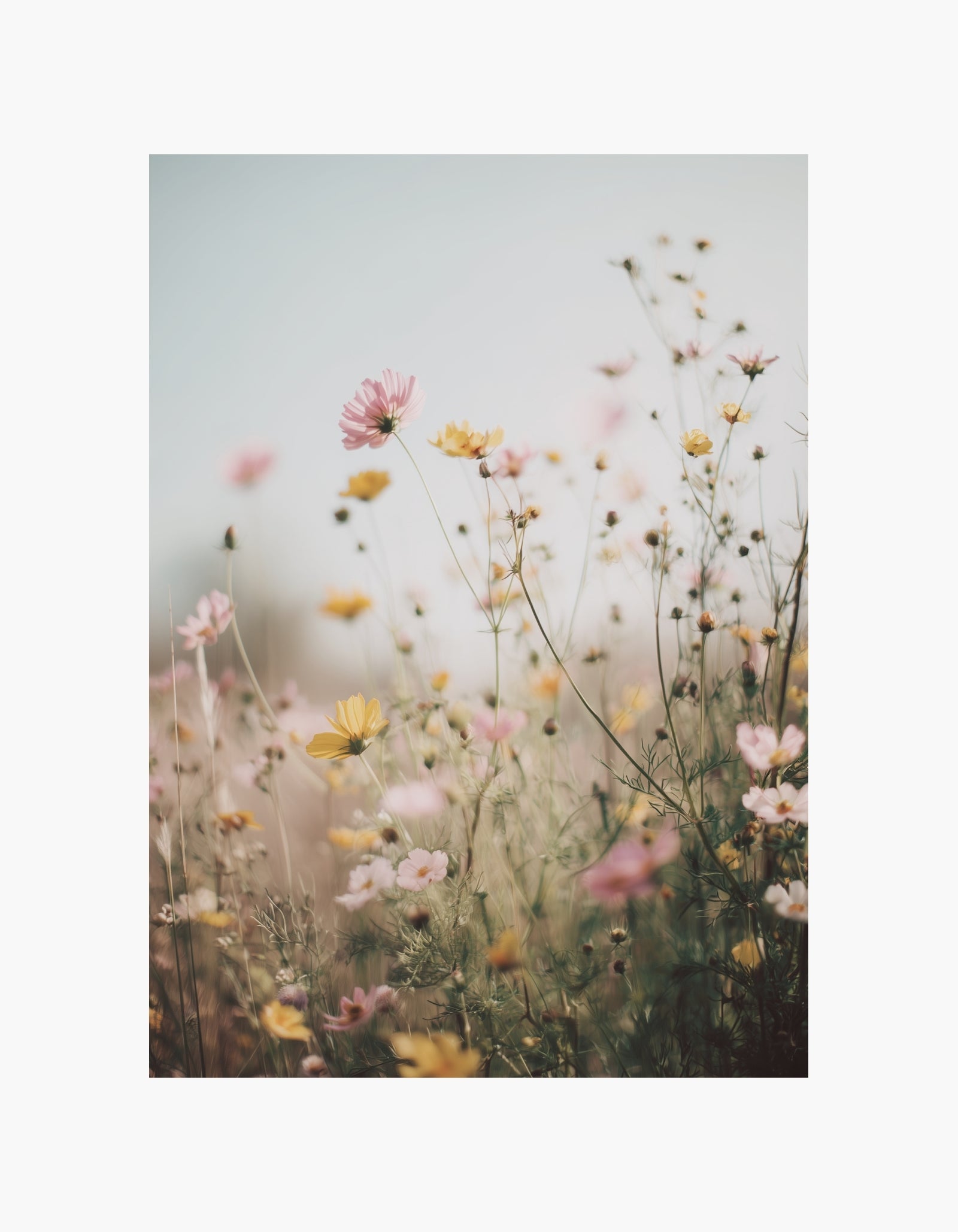 Spring Meadow Light Poster