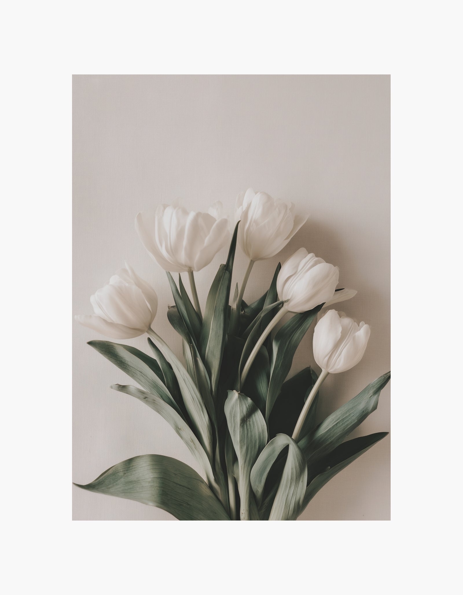 White Tulip No.2 Poster