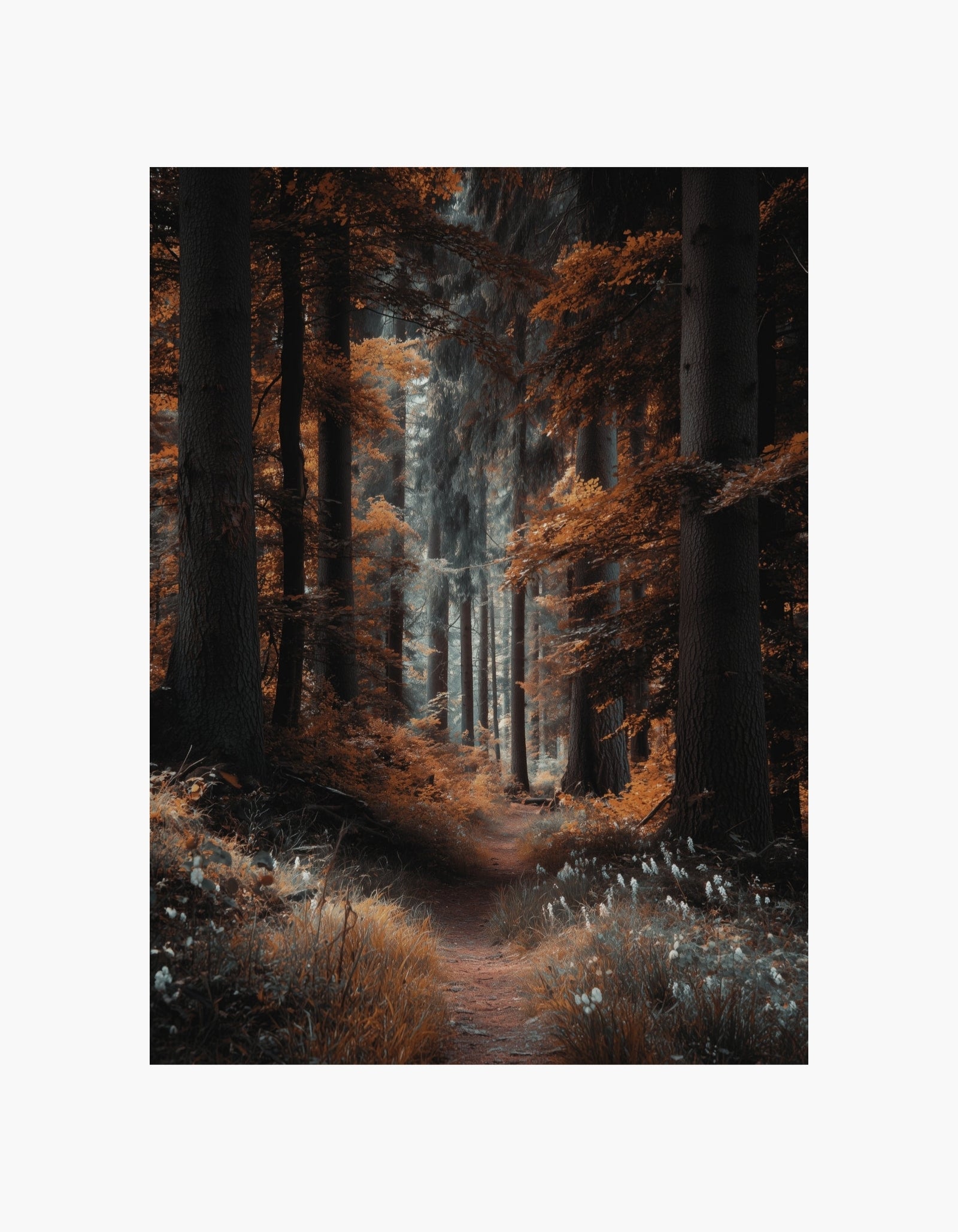 Autumn Forest Poster