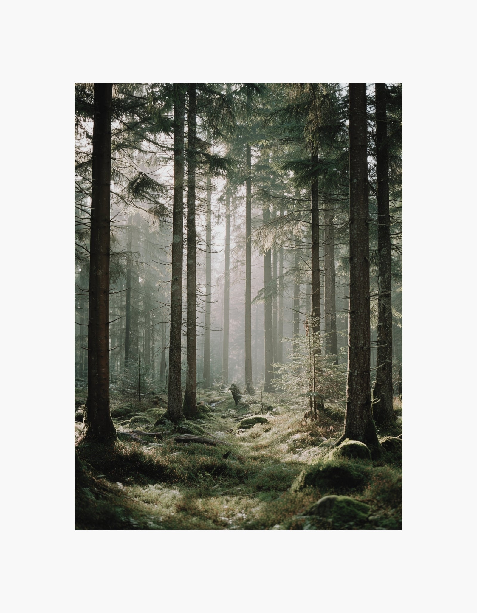 Nordic Forest Poster