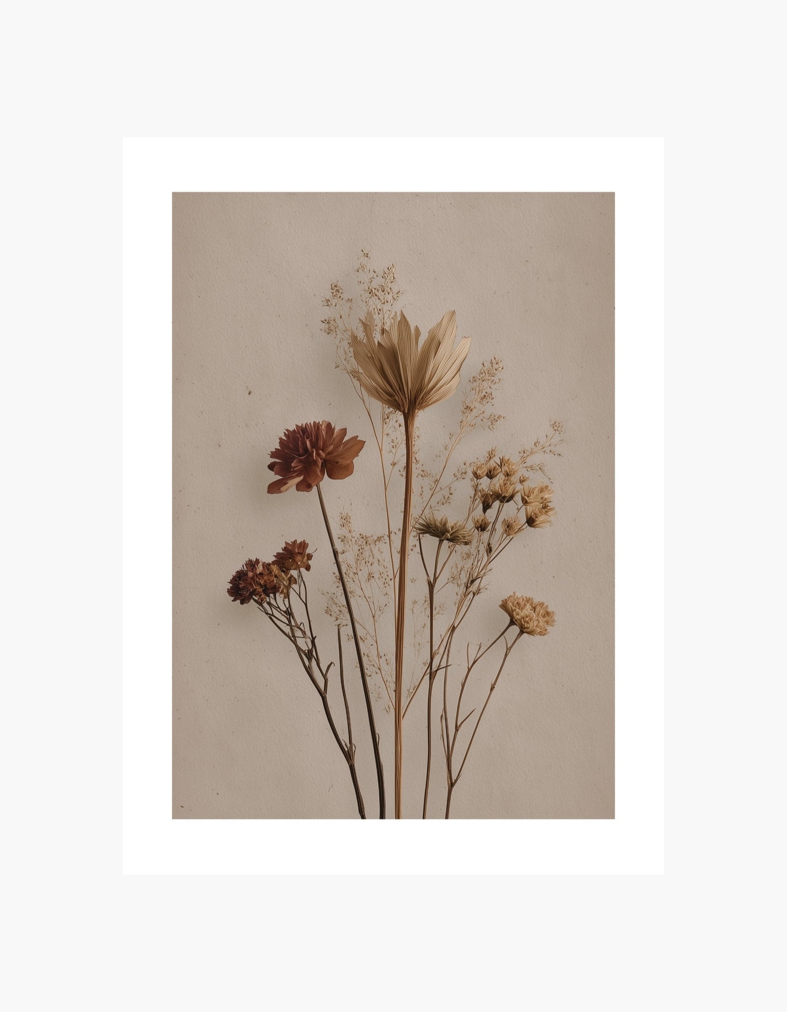 Dried Blooms Poster