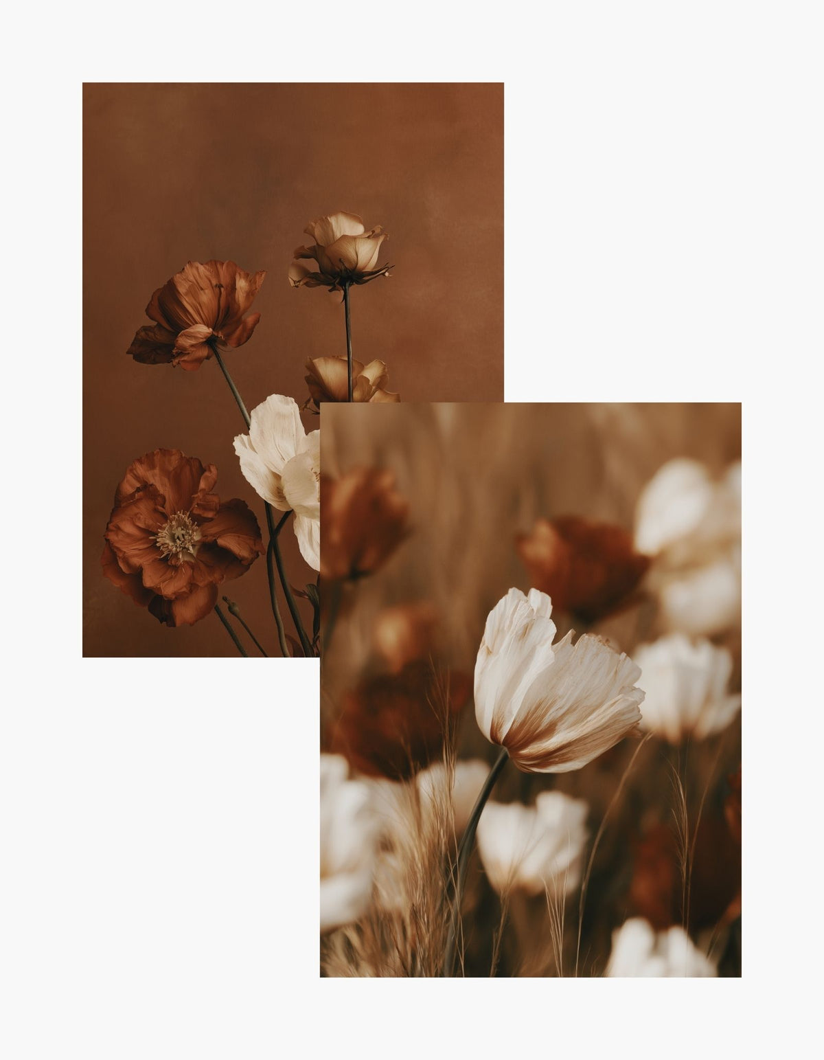 Autumn Meadow Posterpaket