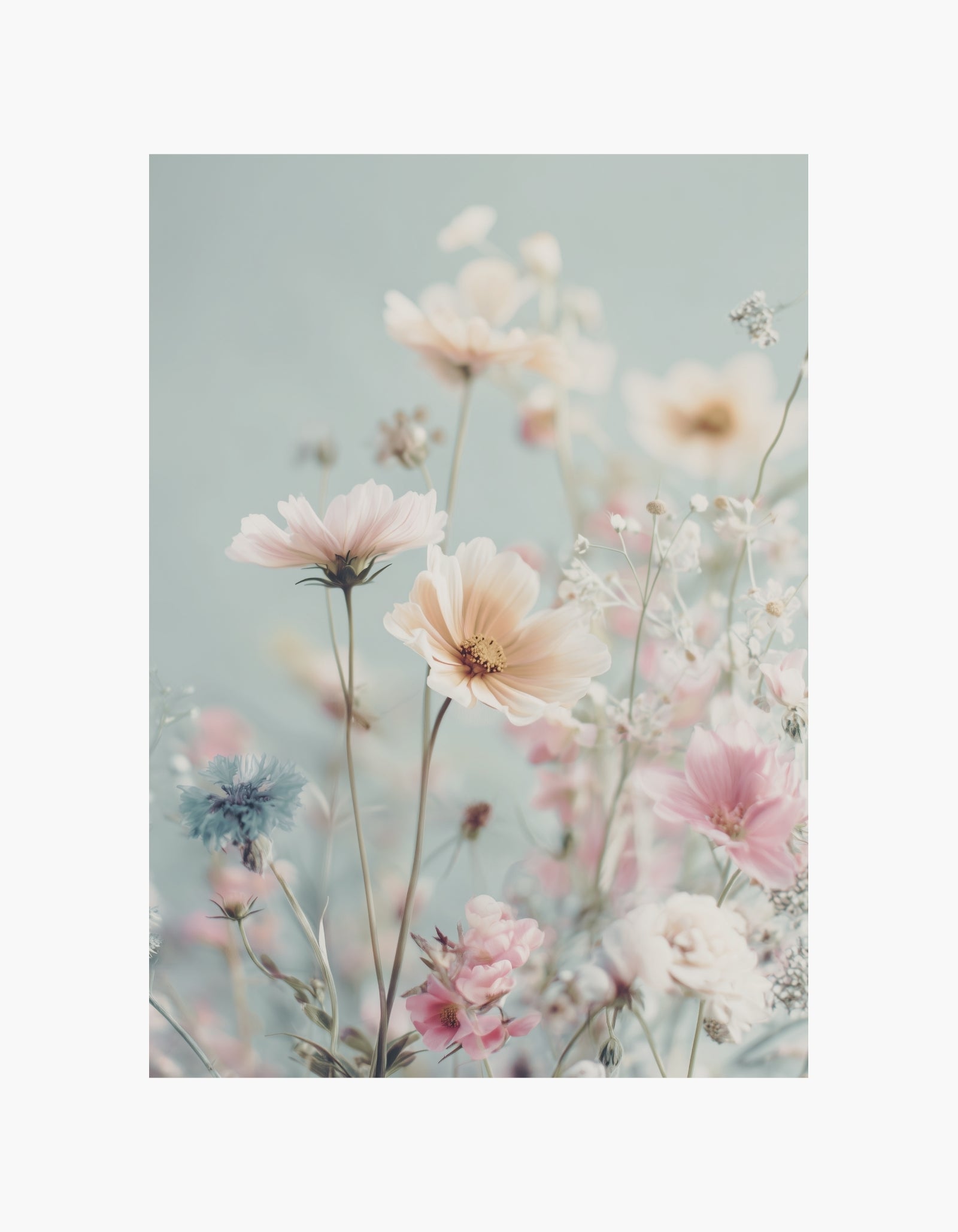 Pastel Wildflowers Poster