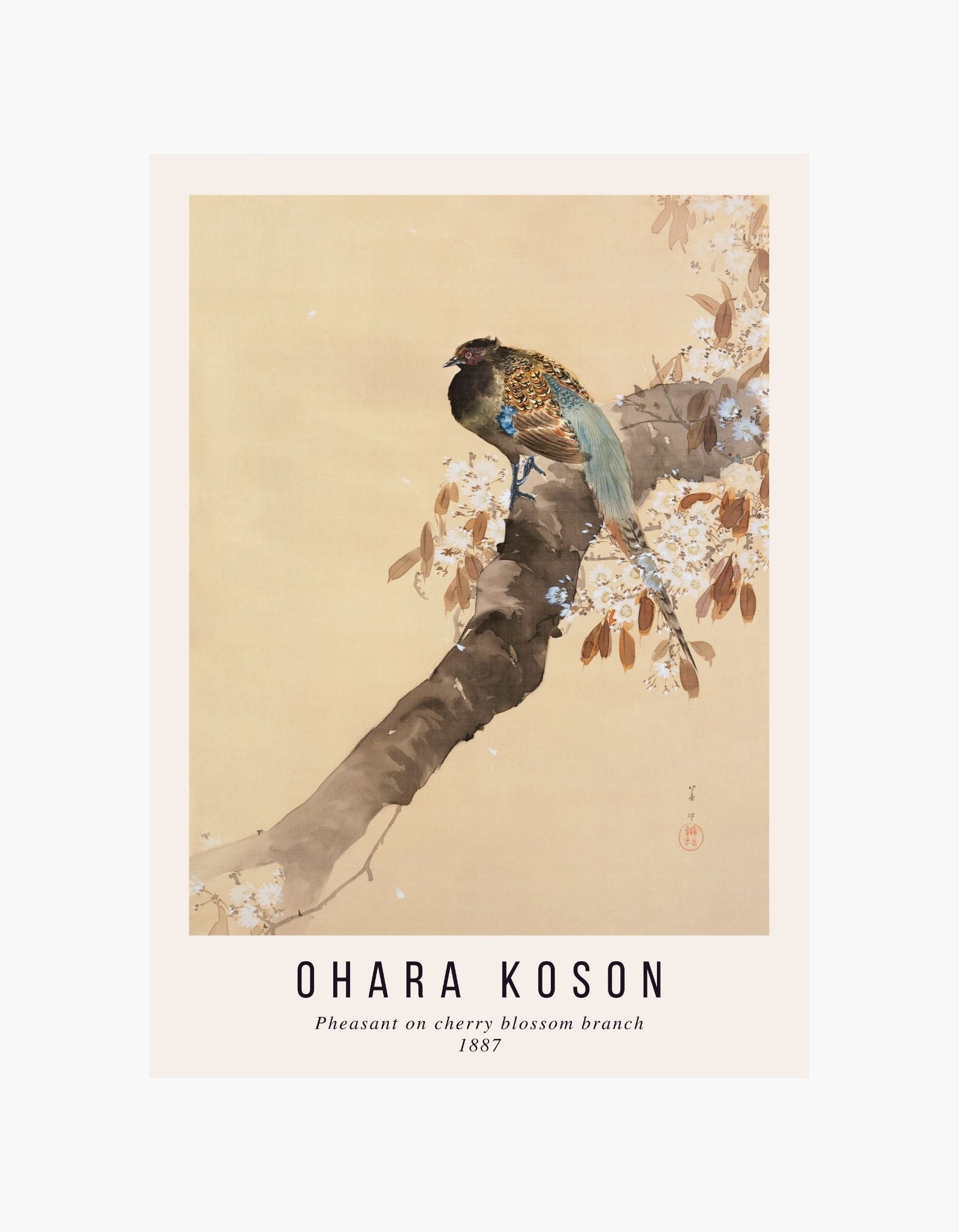 Ohara Koson Pheasant on Cherry Blossom Branch Poster