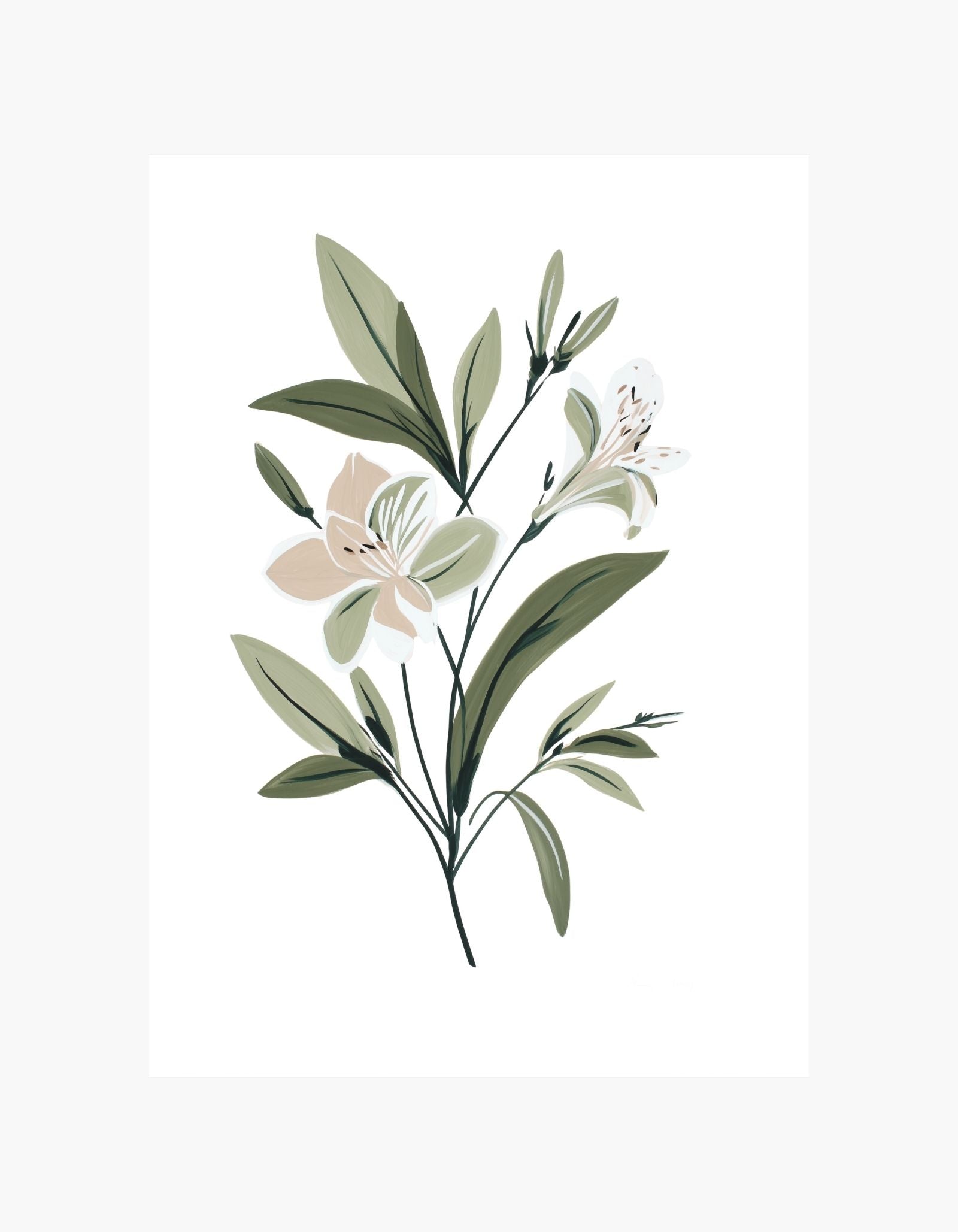 Wild Lily Botanical Poster