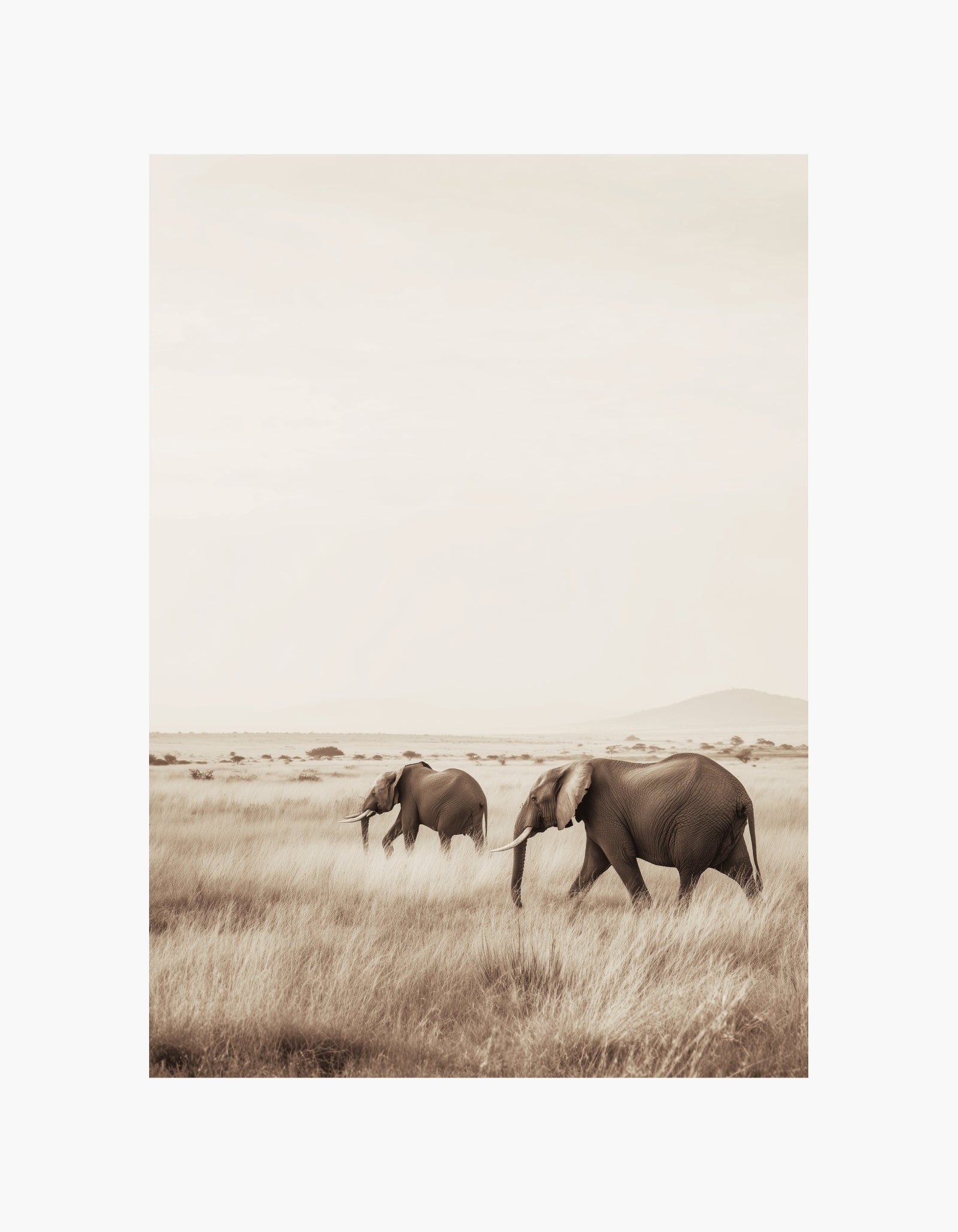 Savanna Walk Poster