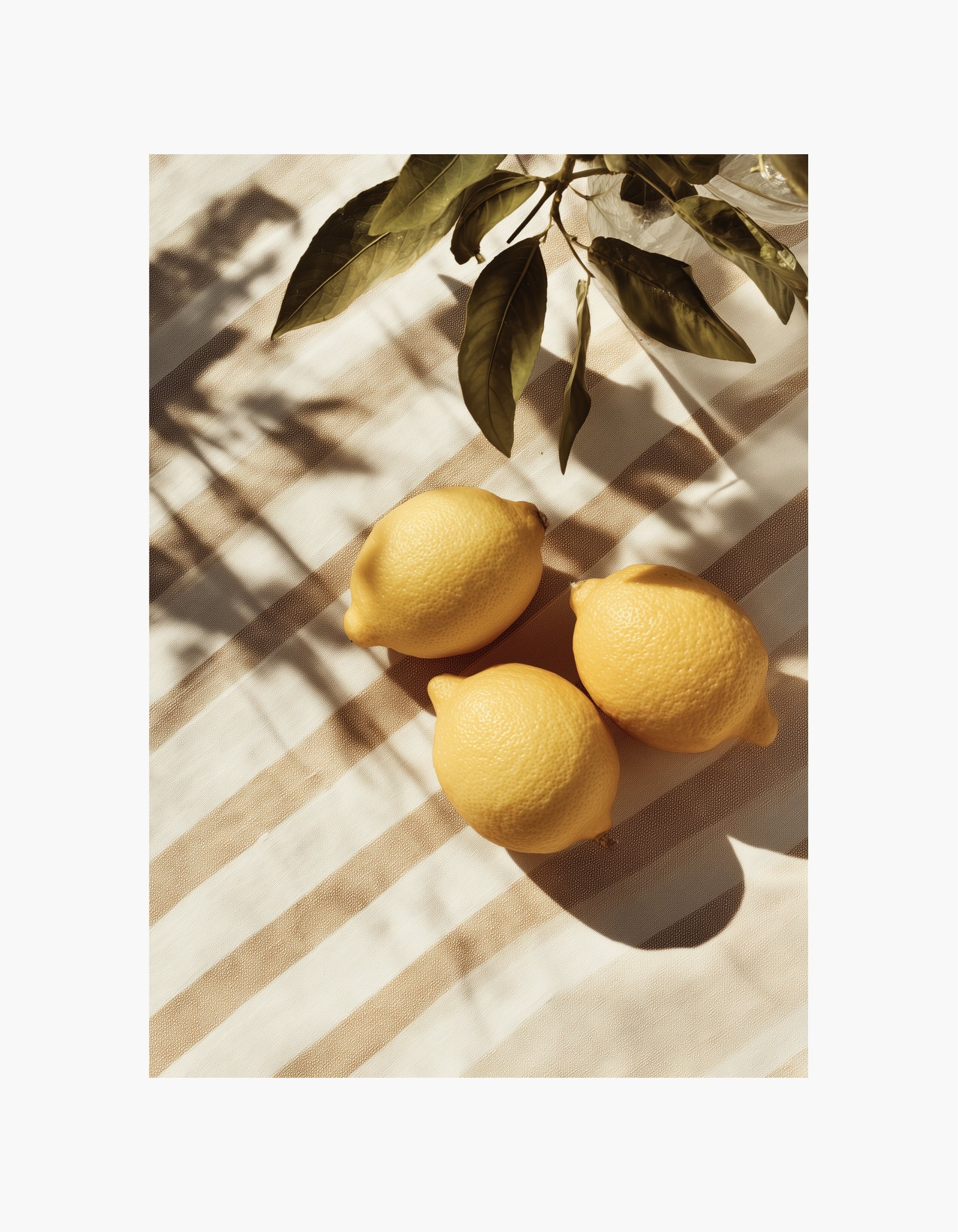 Mediterranean Lemons Poster