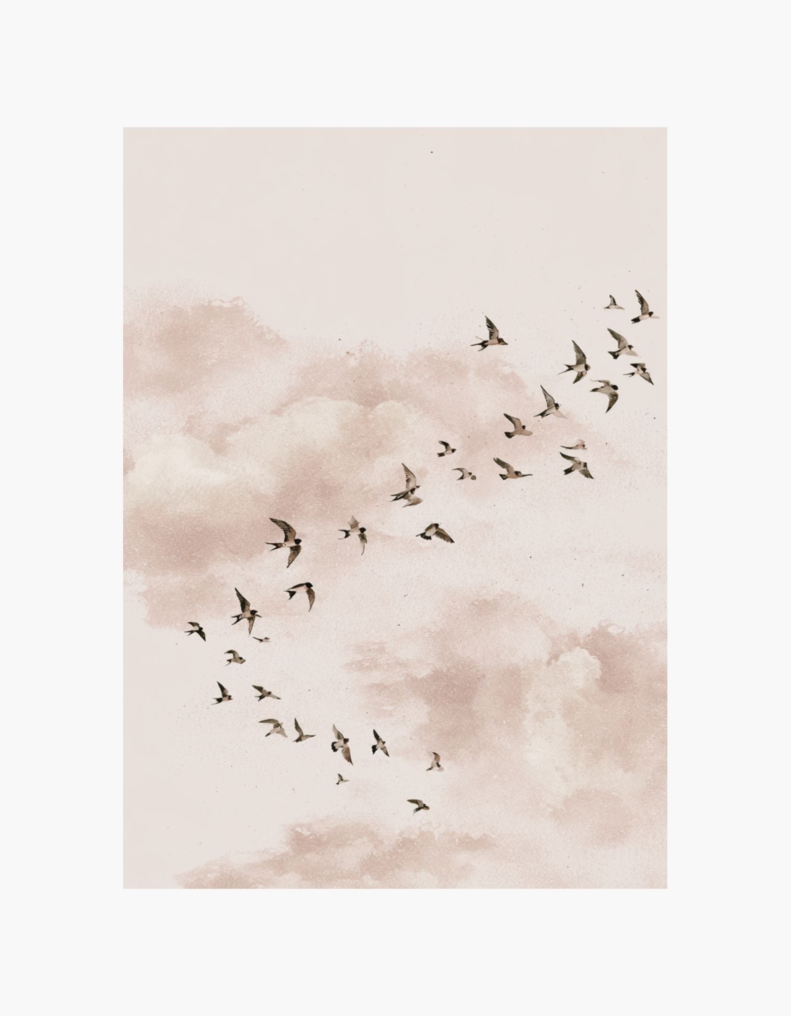 Blush Sky Birds Poster