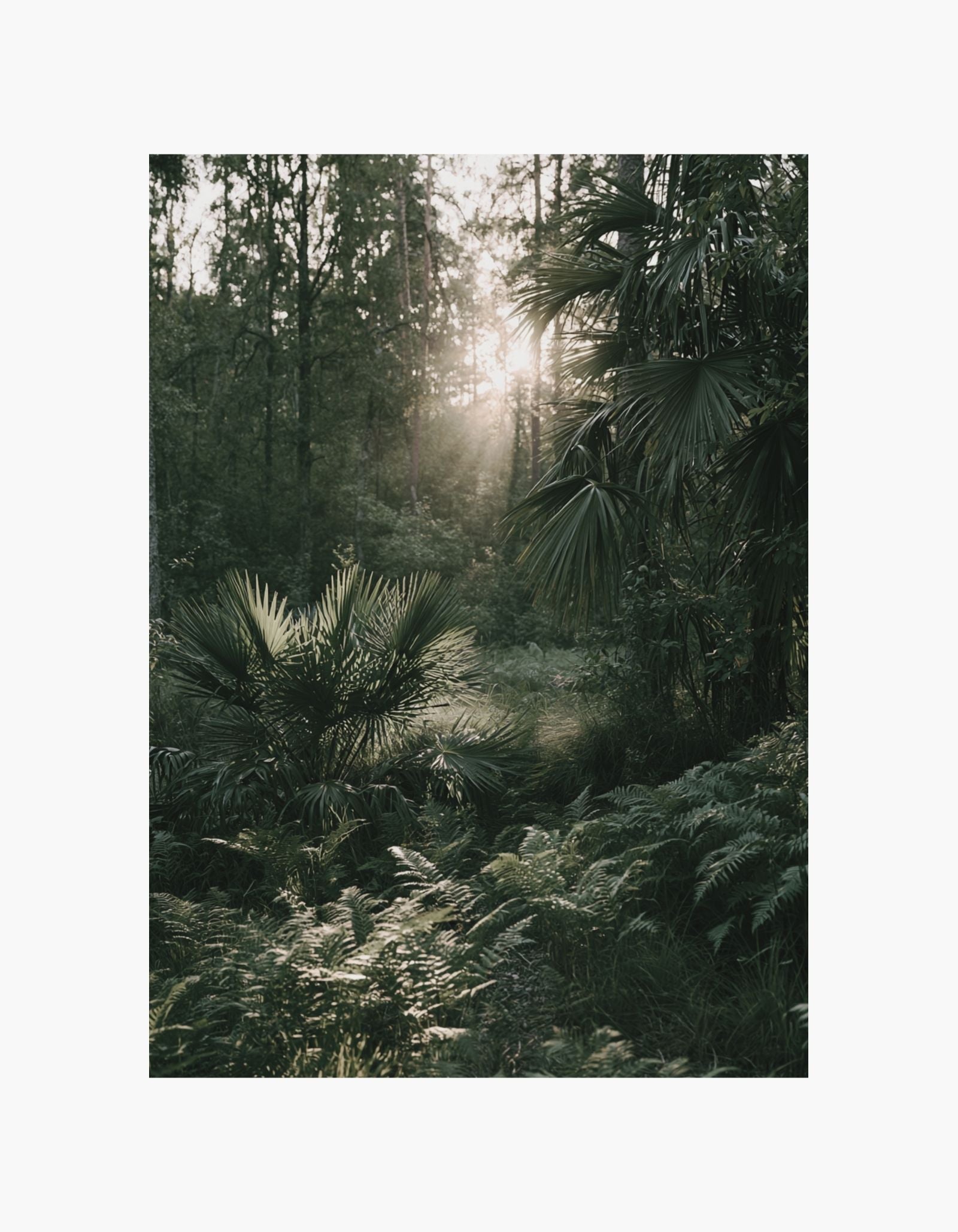 Tropical Forest Light Poster