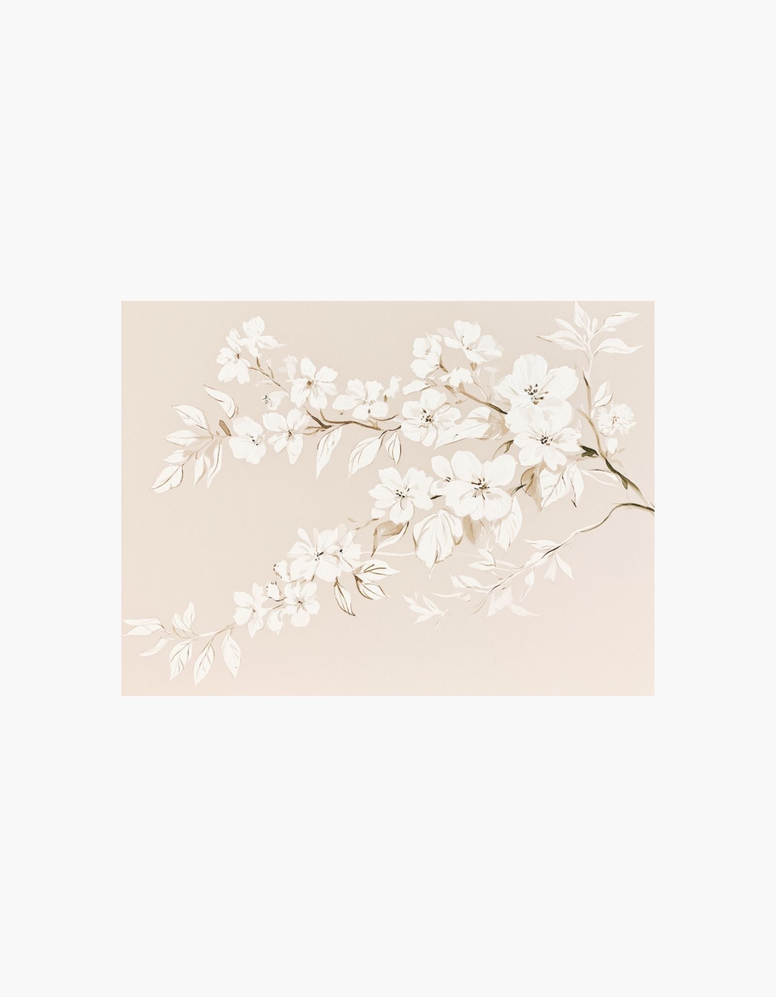 Ivory Blossom Poster