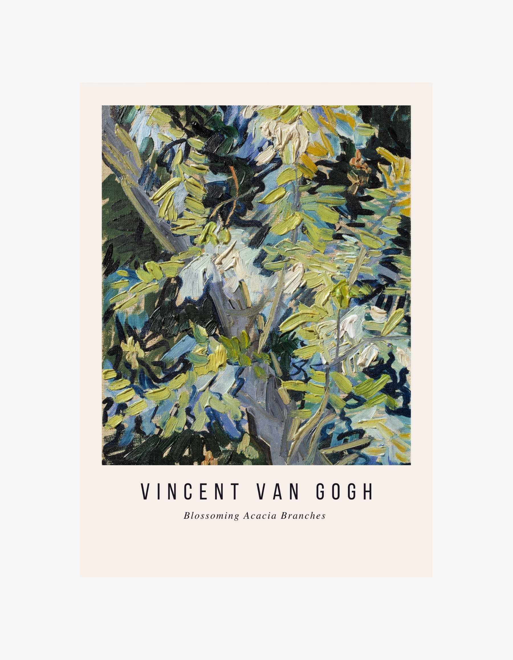 Van Gogh Blossoming Acacia Poster