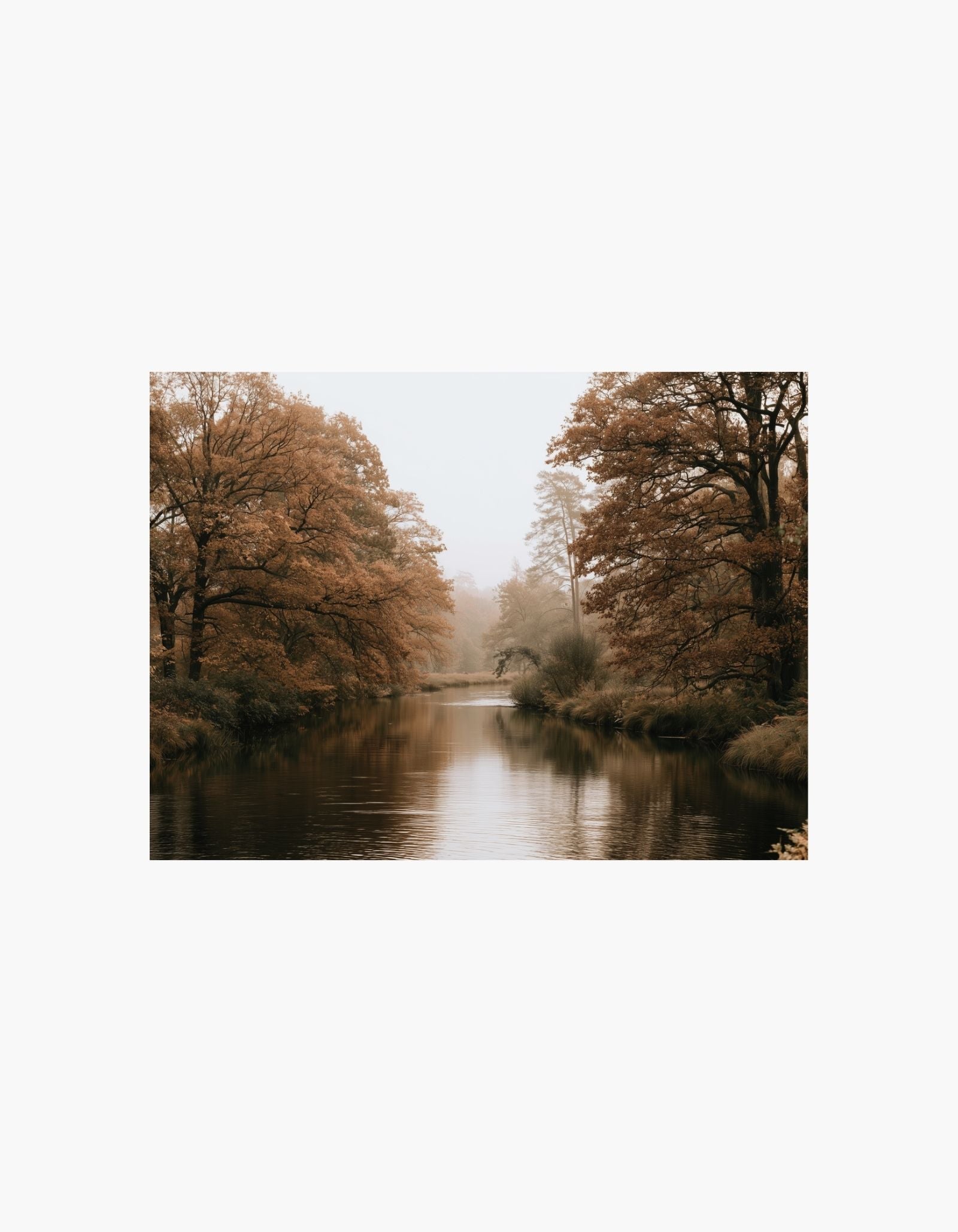 Autumn River Poster