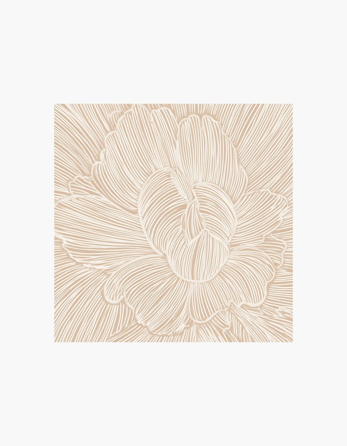 Soft Peony Lines Poster