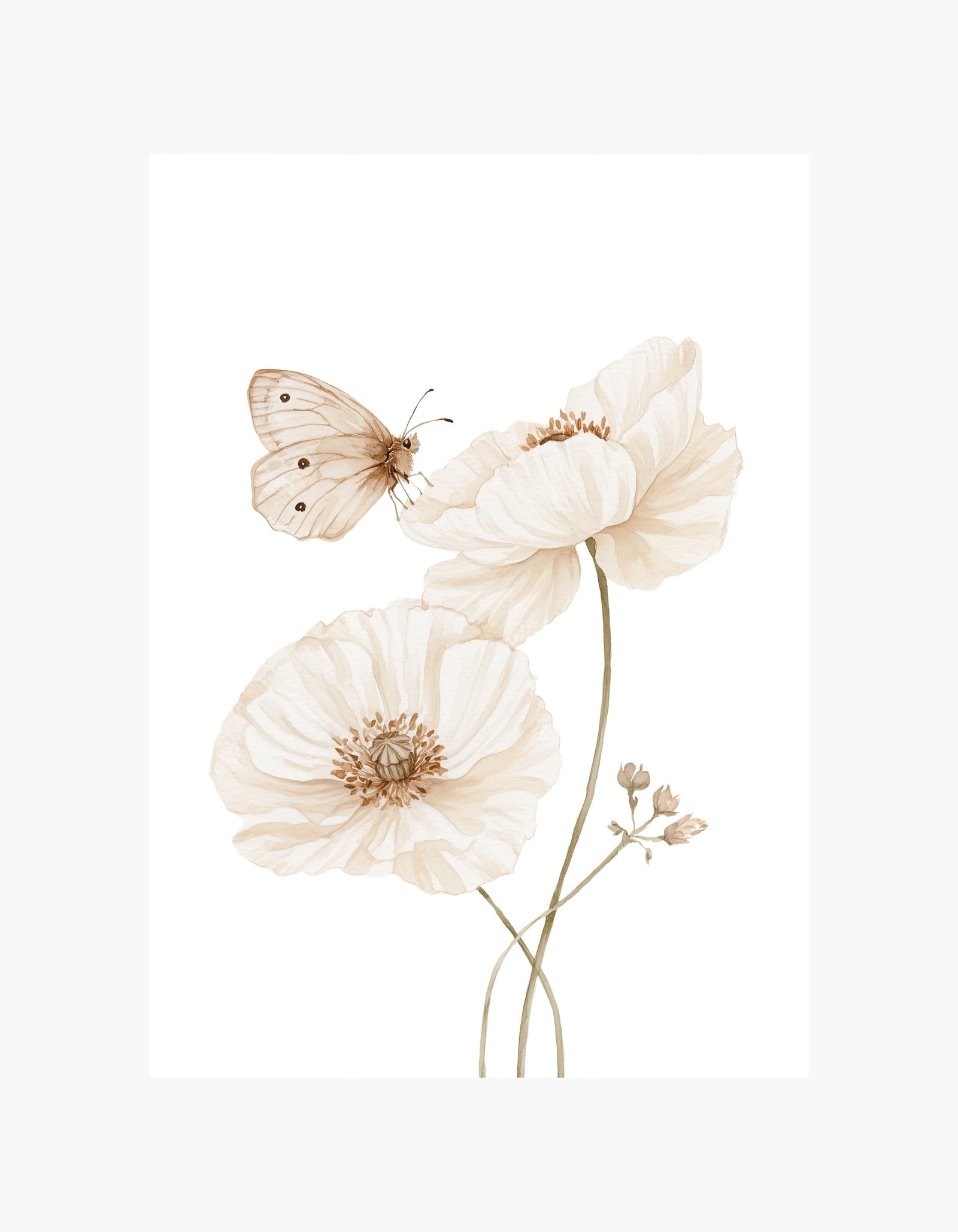Butterfly Bloom Poster