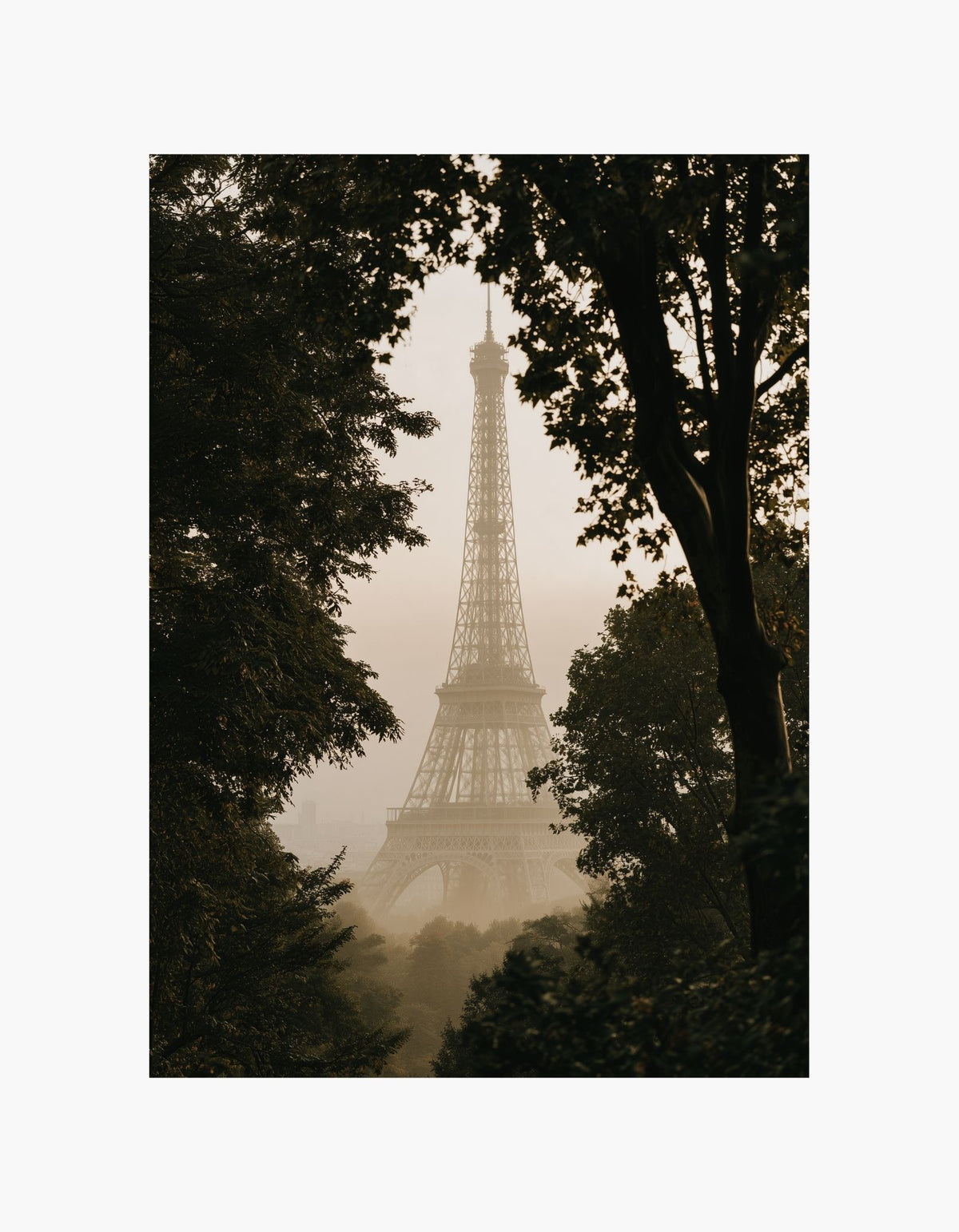 Paris Through the Trees Poster
