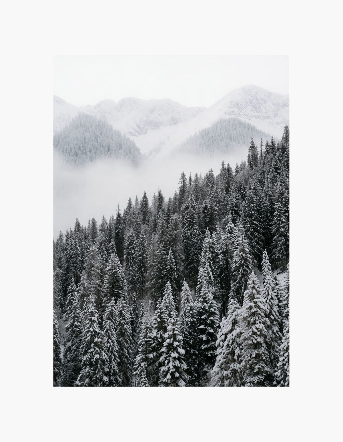Snowy Forest Poster