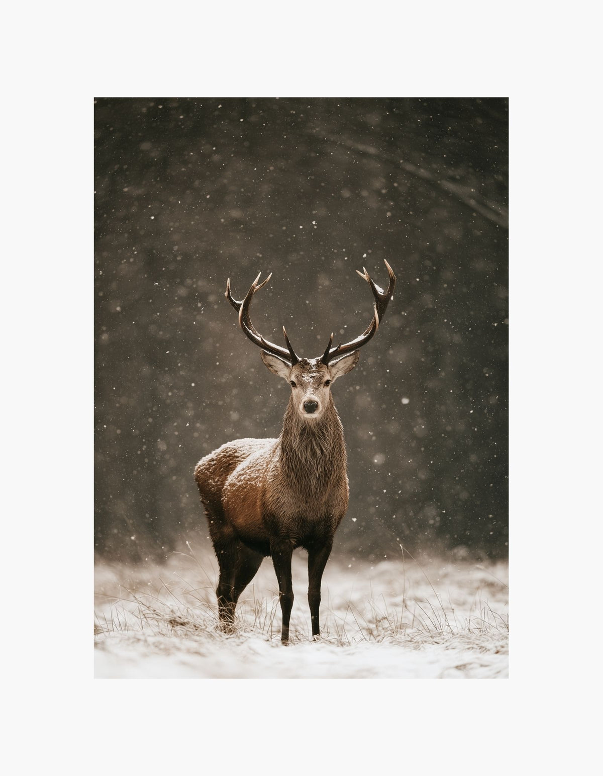 Winter Moments Posterpaket