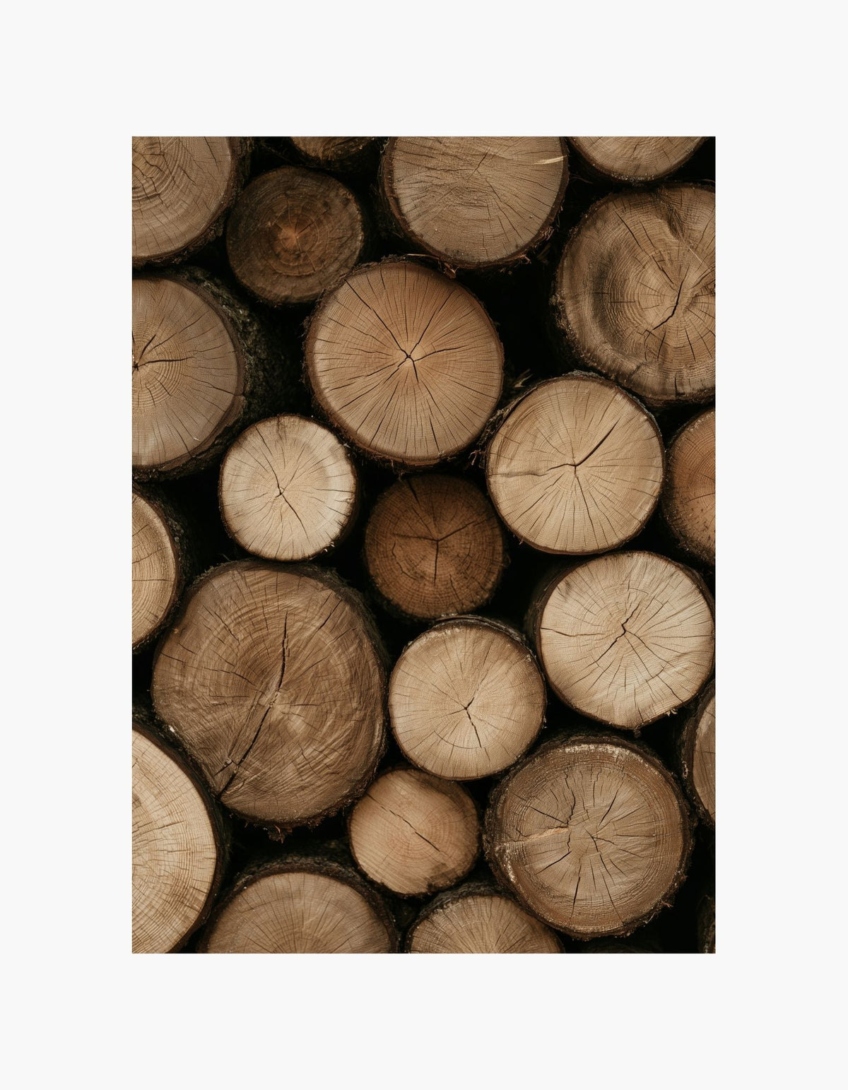 Rustic Wood Poster