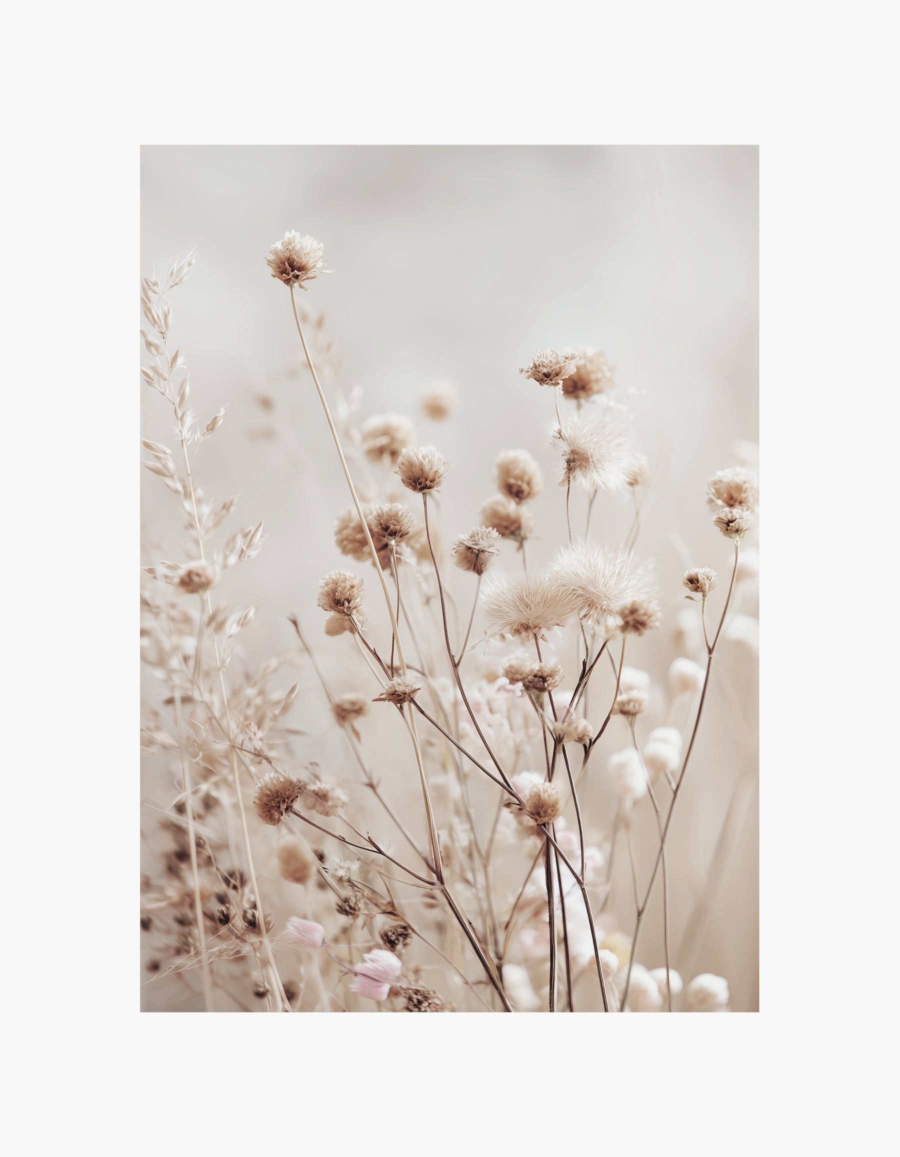 Beige Wildflowers Poster