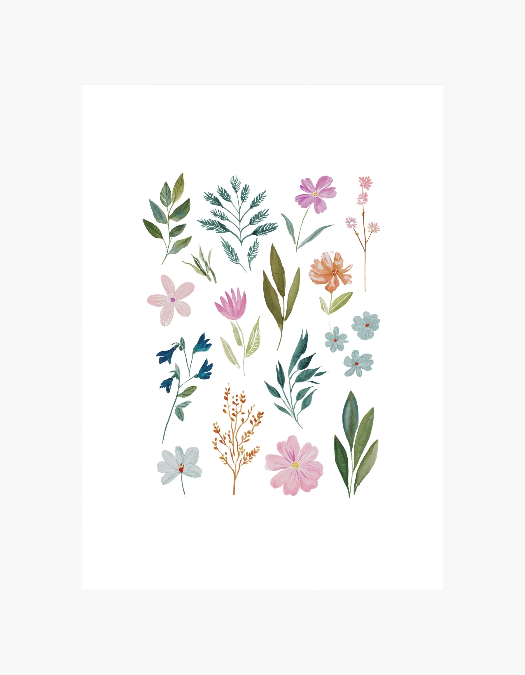 Botanical Collection Poster