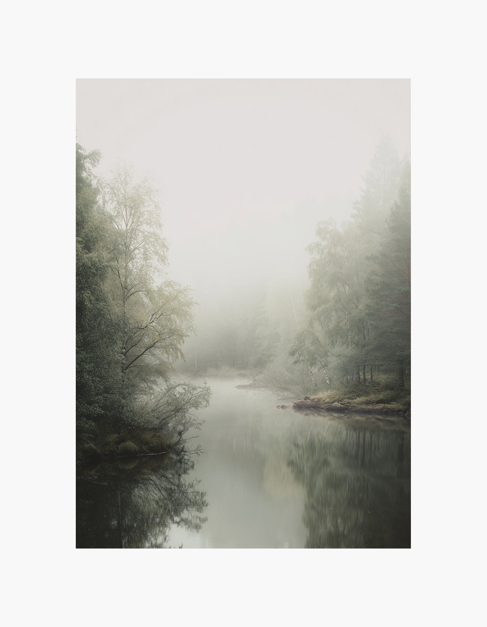 Forest River Poster