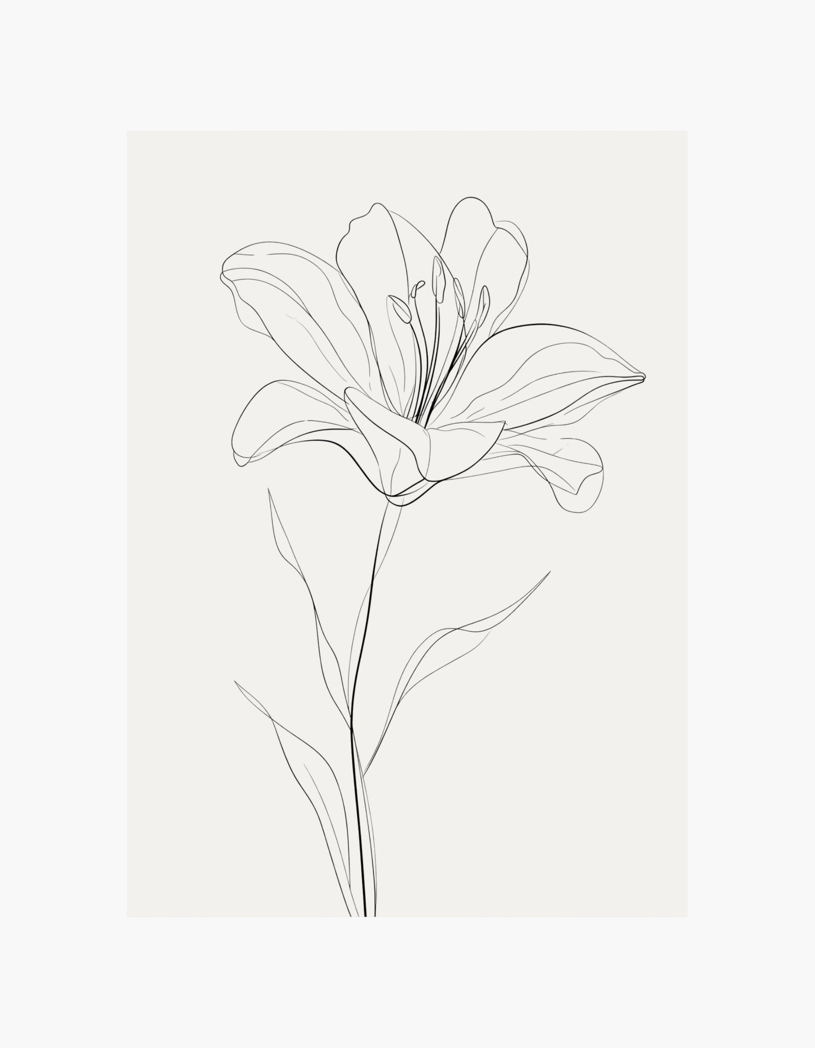 Lily Line Art No.2 Poster