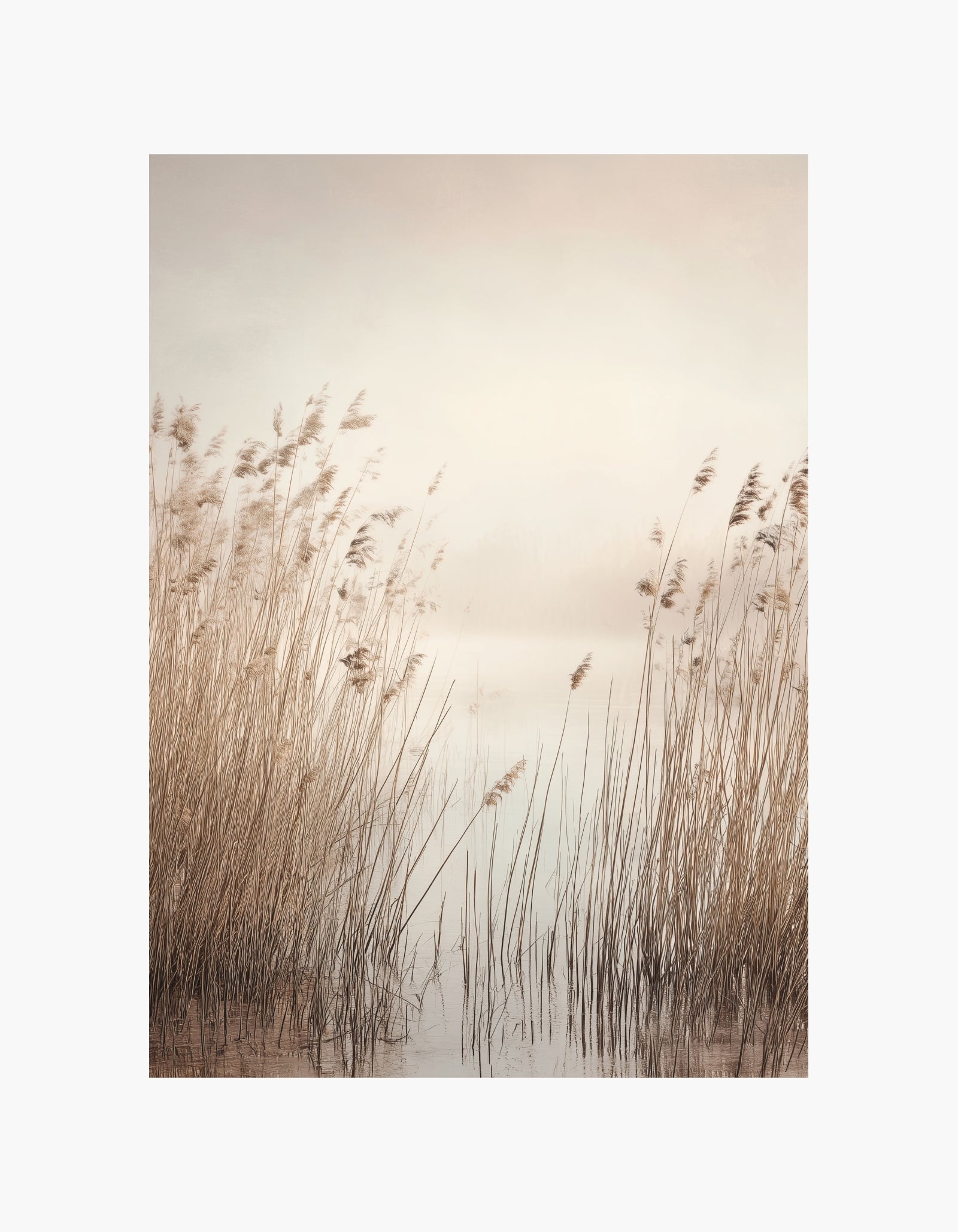 Lake Reeds Poster