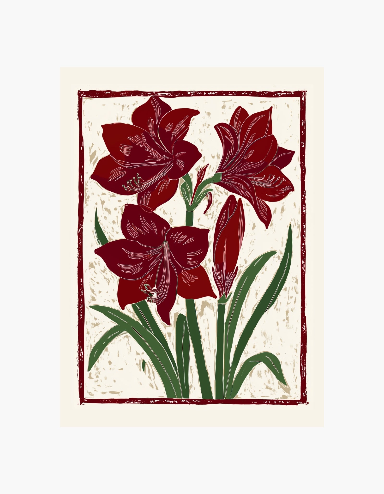 Amaryllis Flower Poster