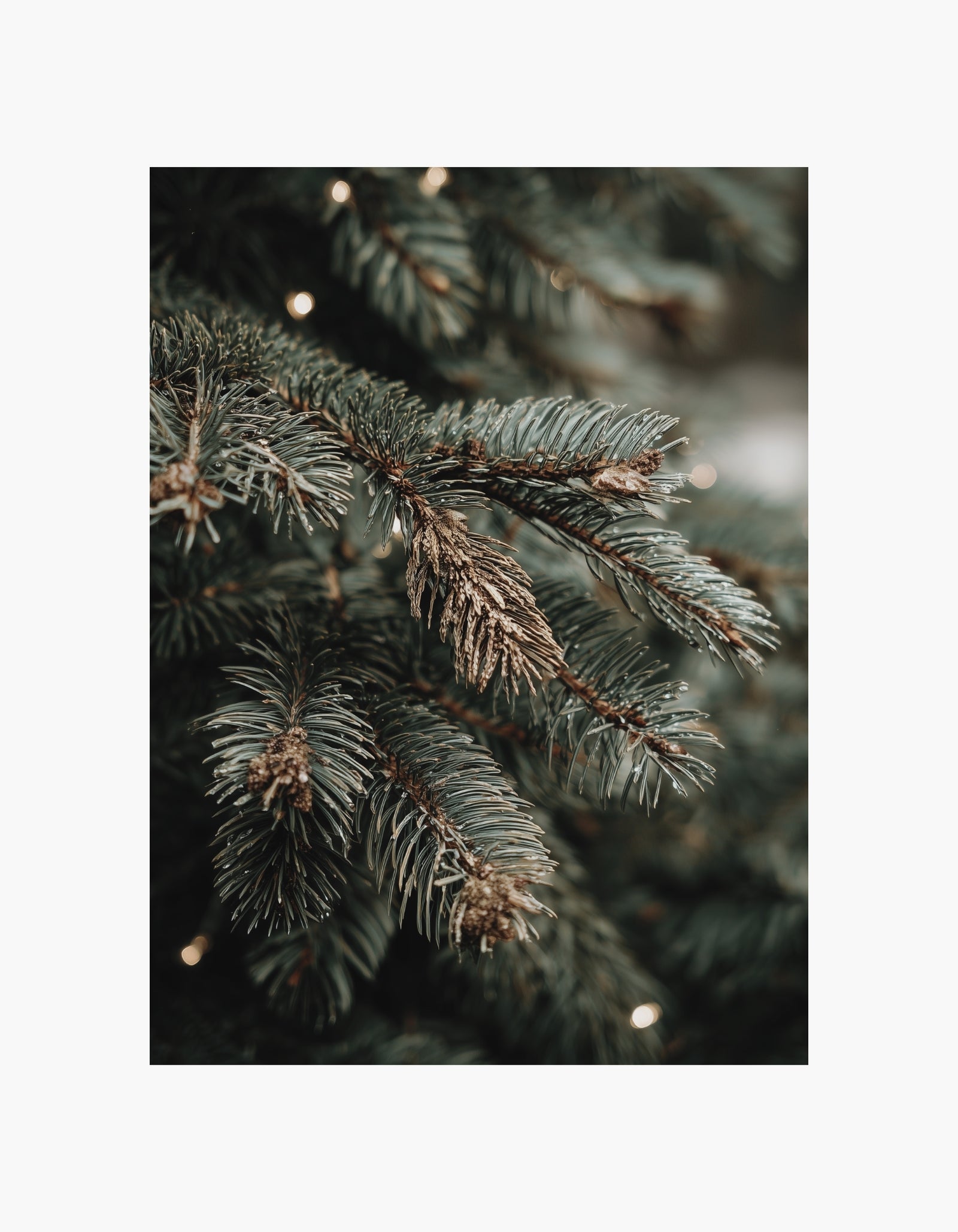 Christmas Branch Poster
