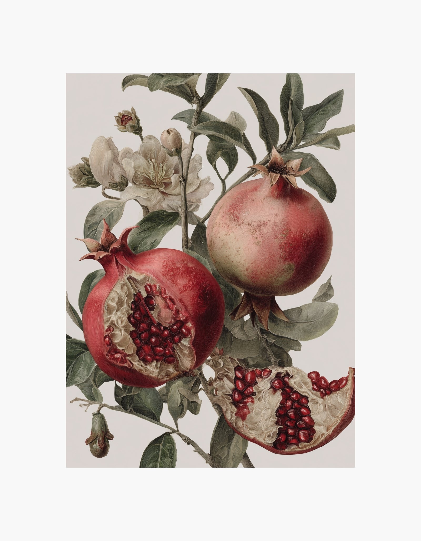 Pomegranate Botanical Poster