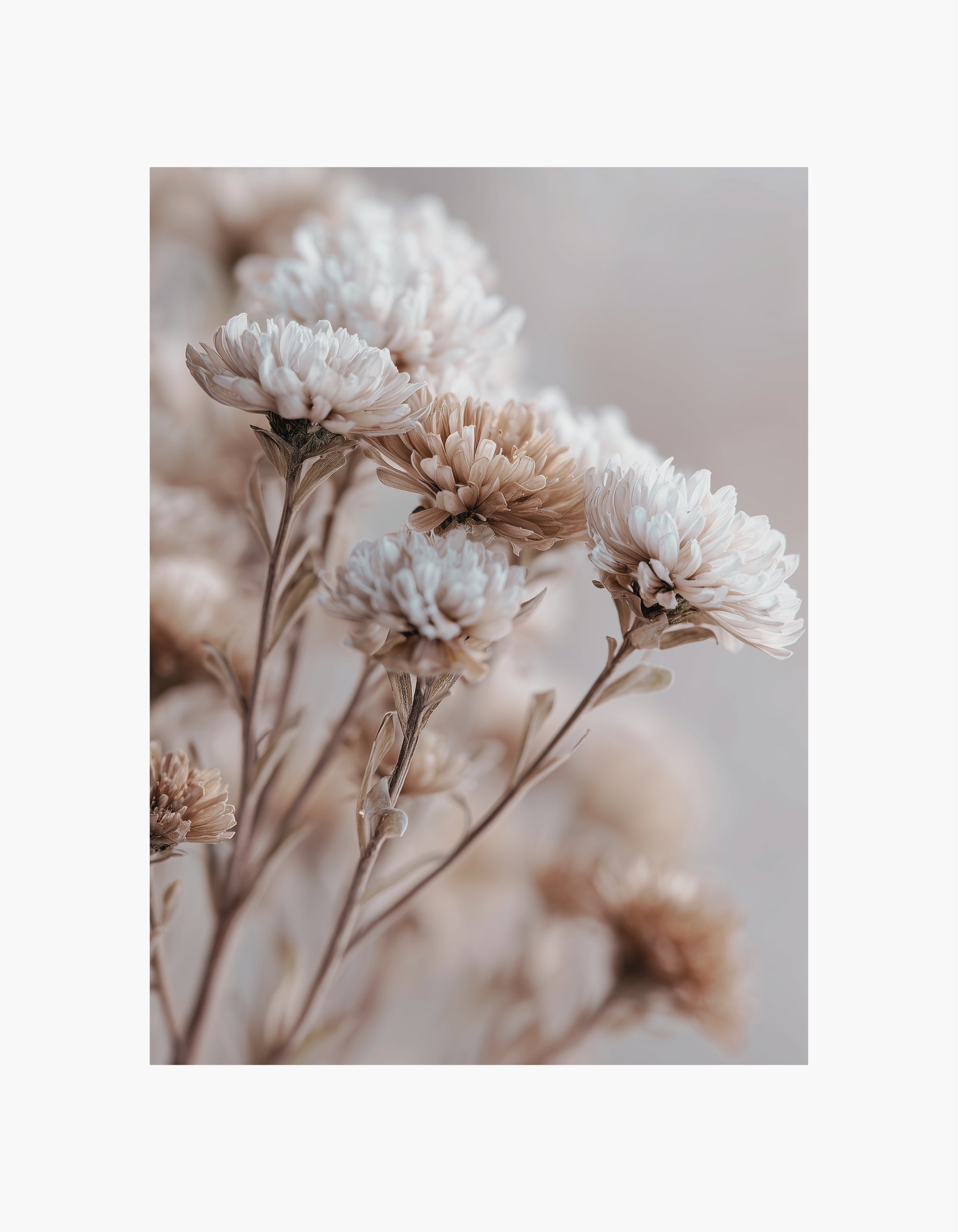 Soft Beige Floral Poster