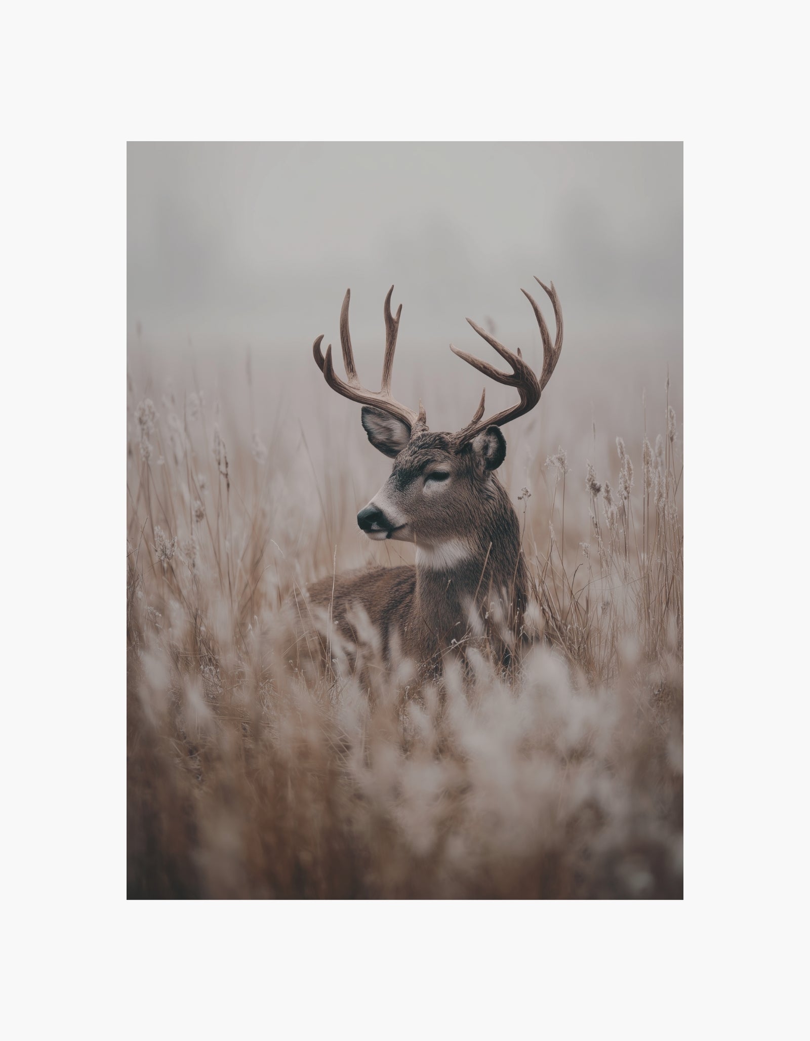 Silent Stag Poster