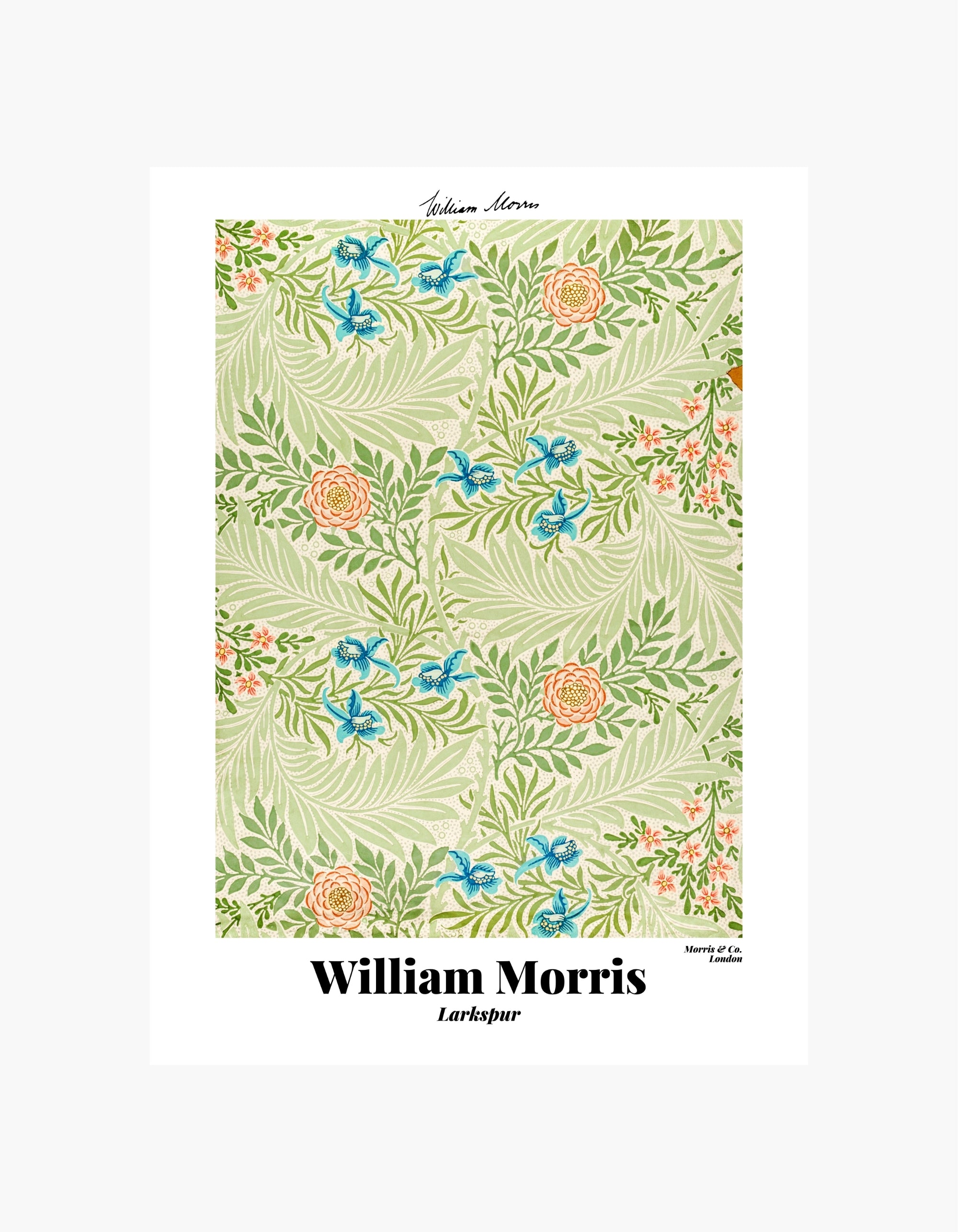 William Morris Larkspur Poster