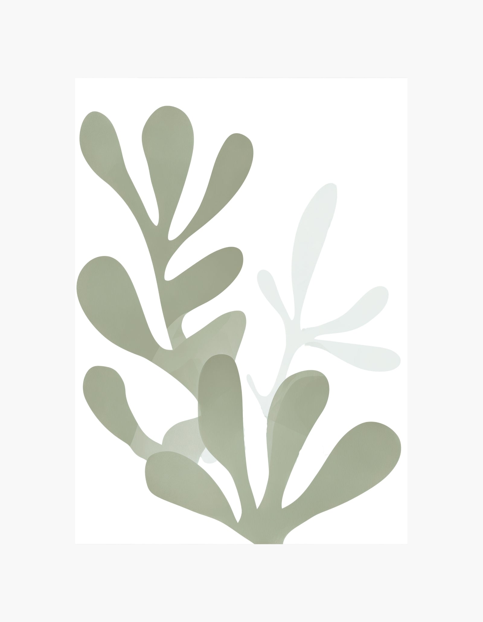 Soft Botanical Shapes Poster