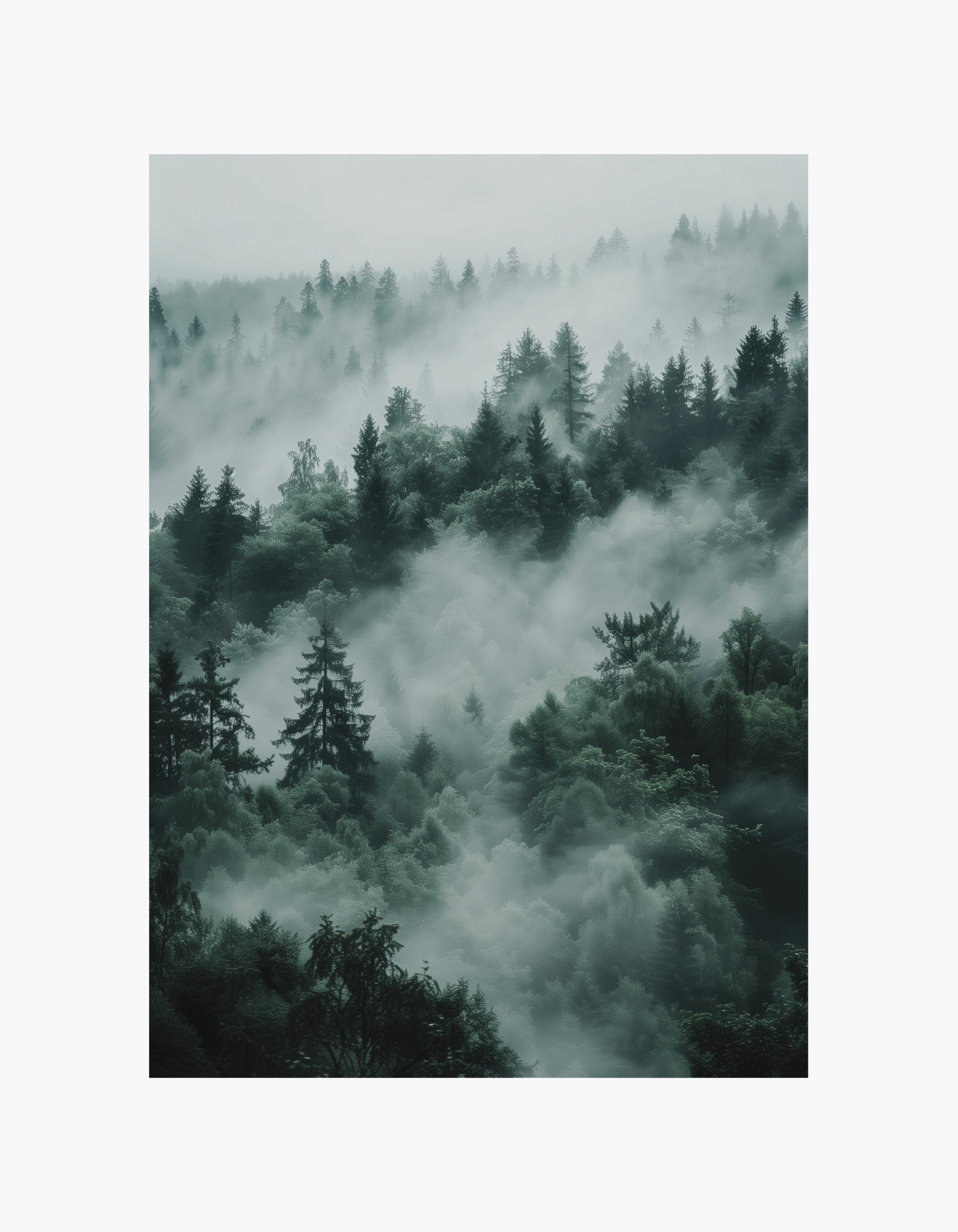 Misty Forest Poster