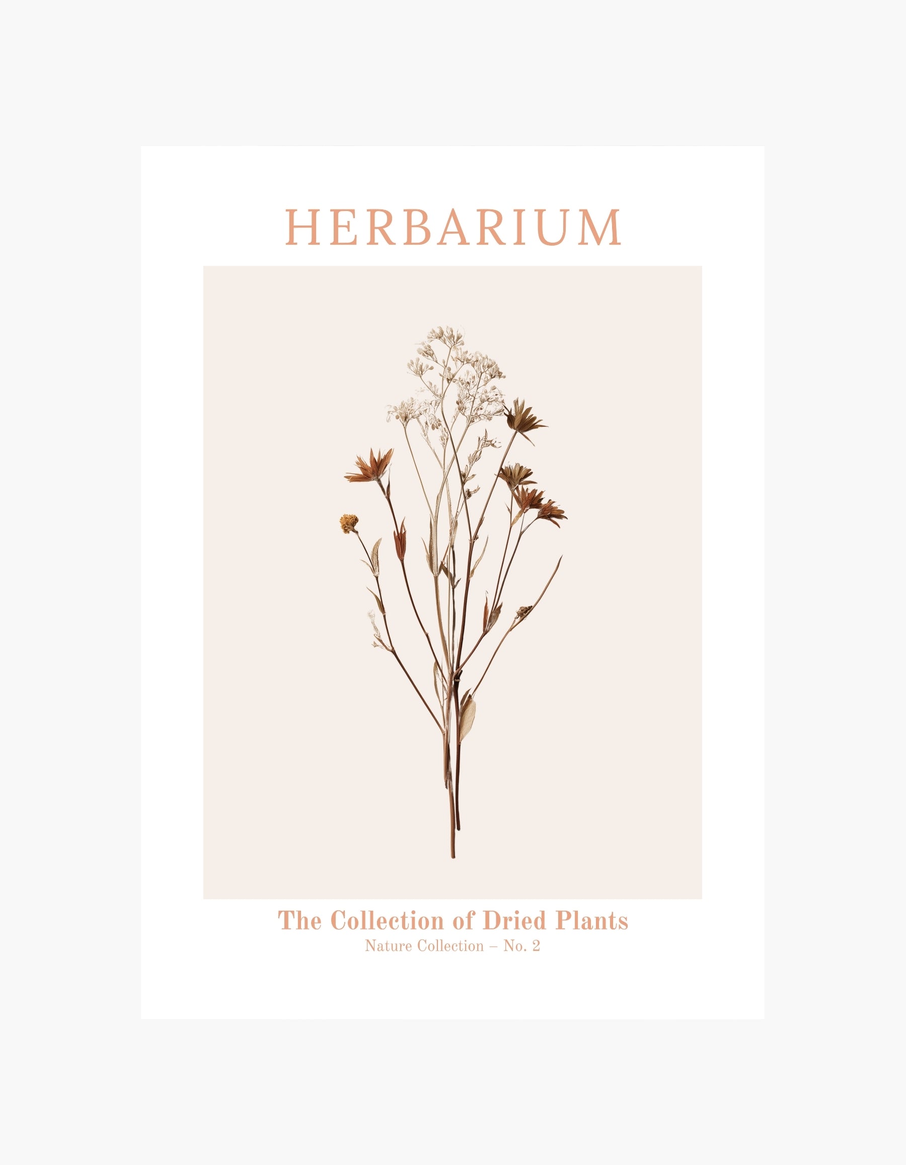 Herbarium  No2 Poster