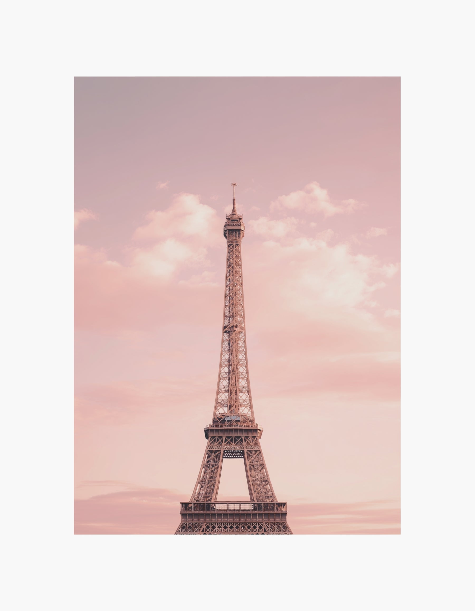 Paris Blush Poster