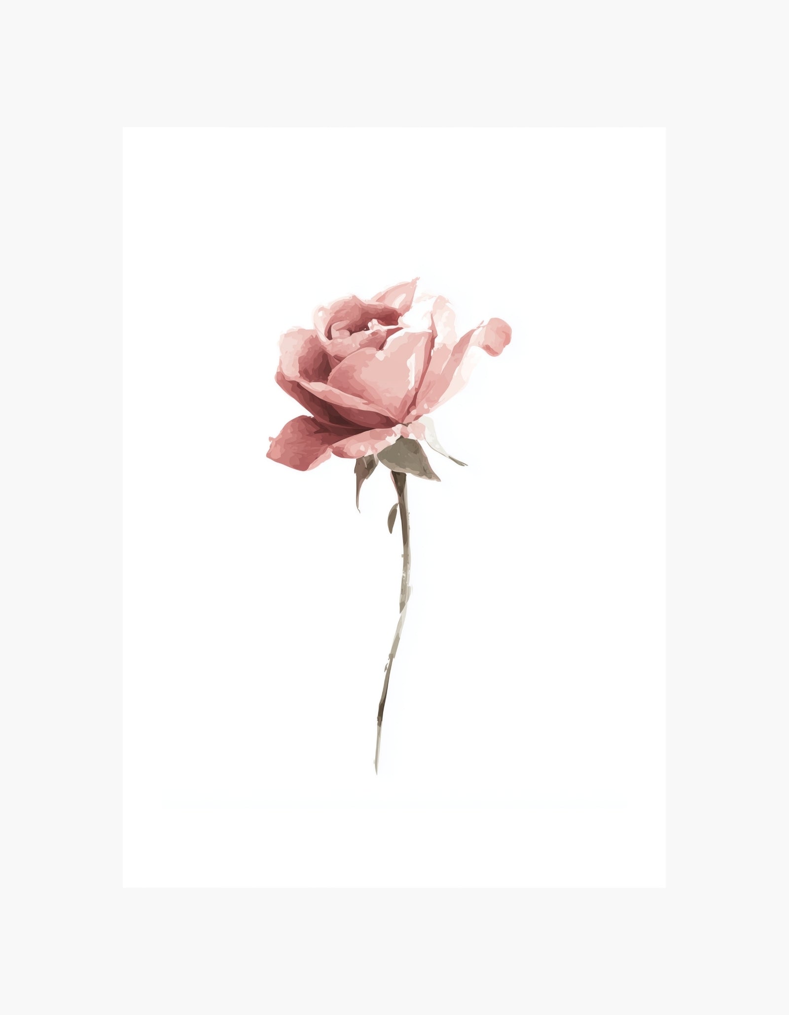 Blush Rose Minimal Poster