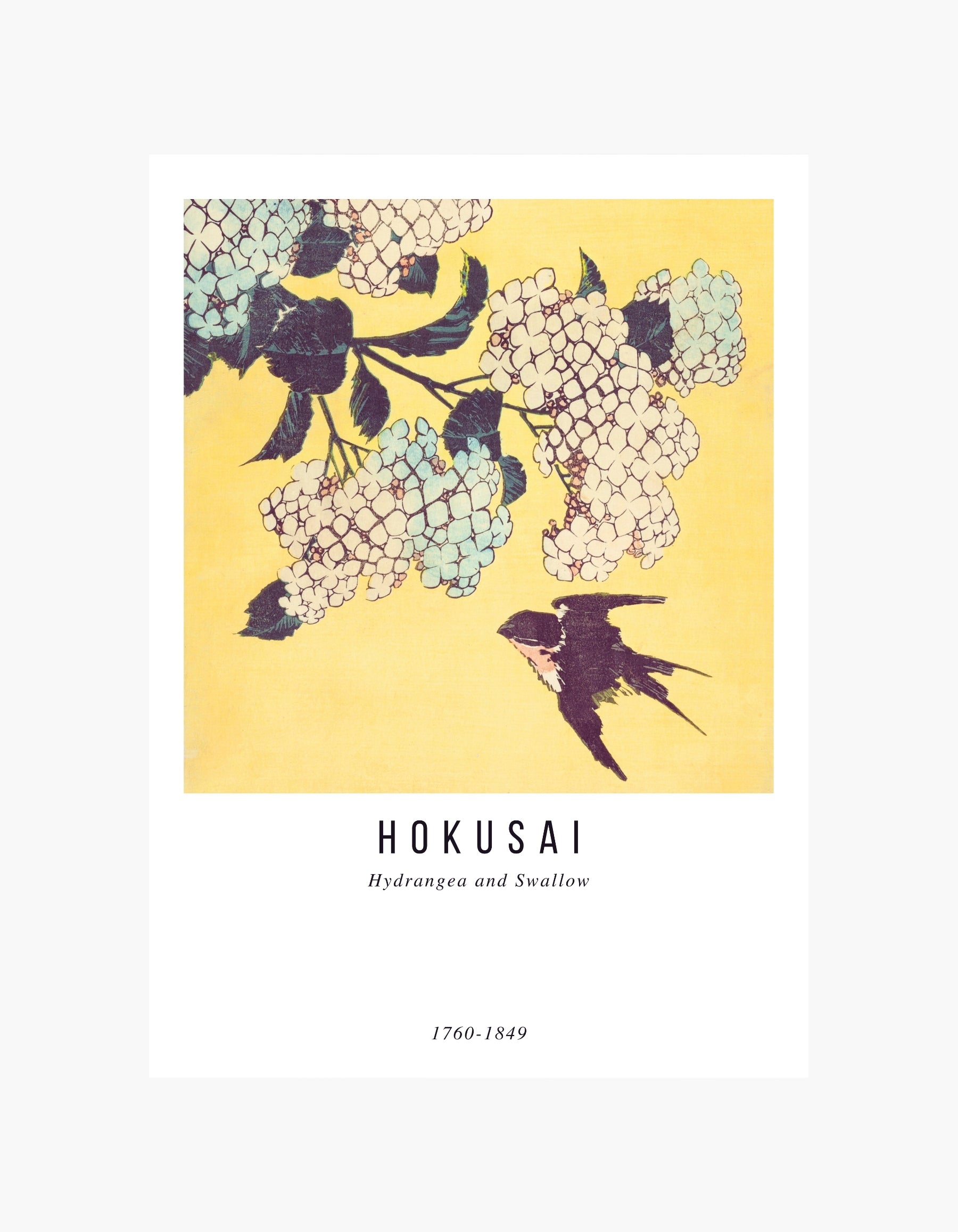 Hokusai Hydrangea and Swallow Poster