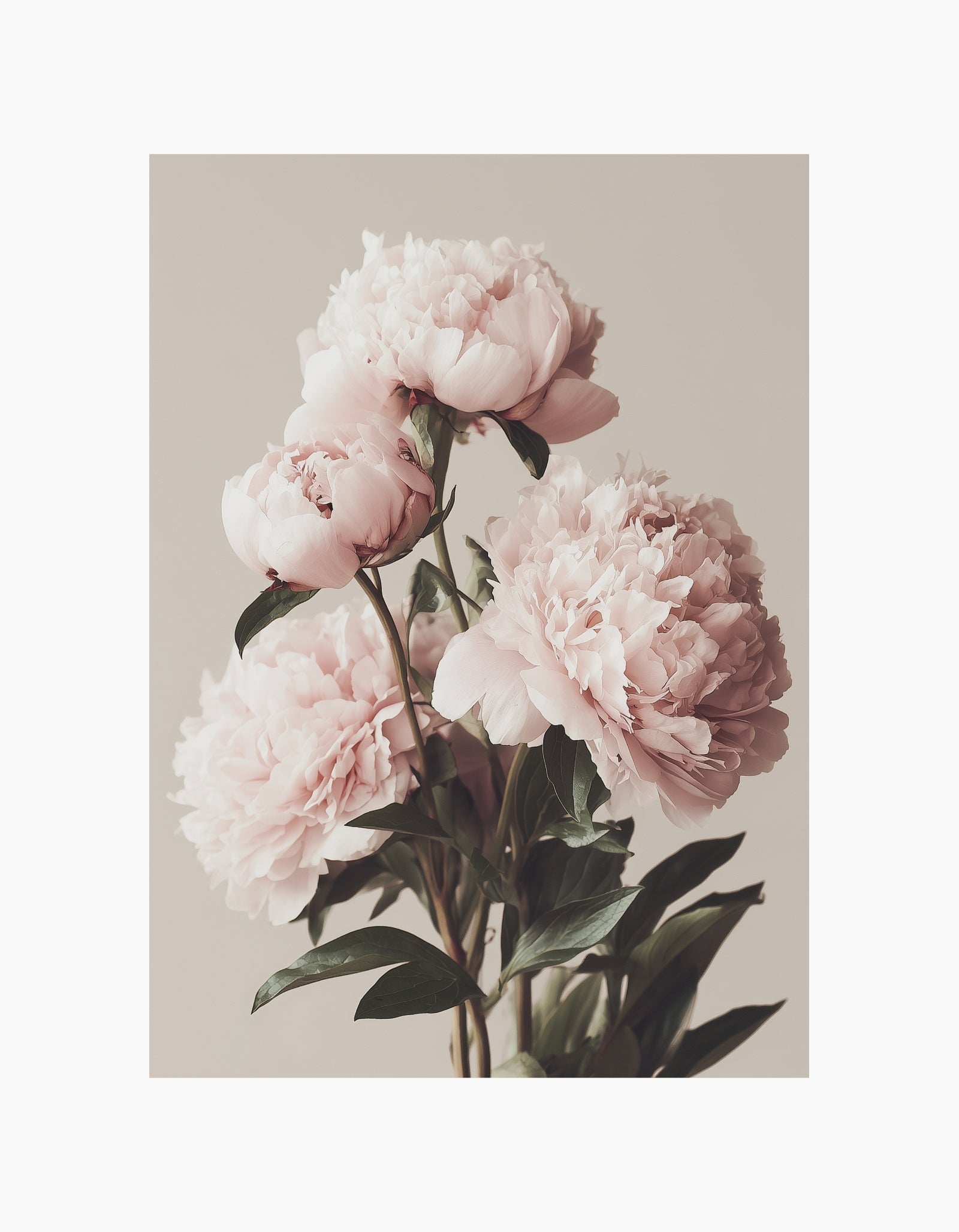 Romantic Blush Flowers Poster